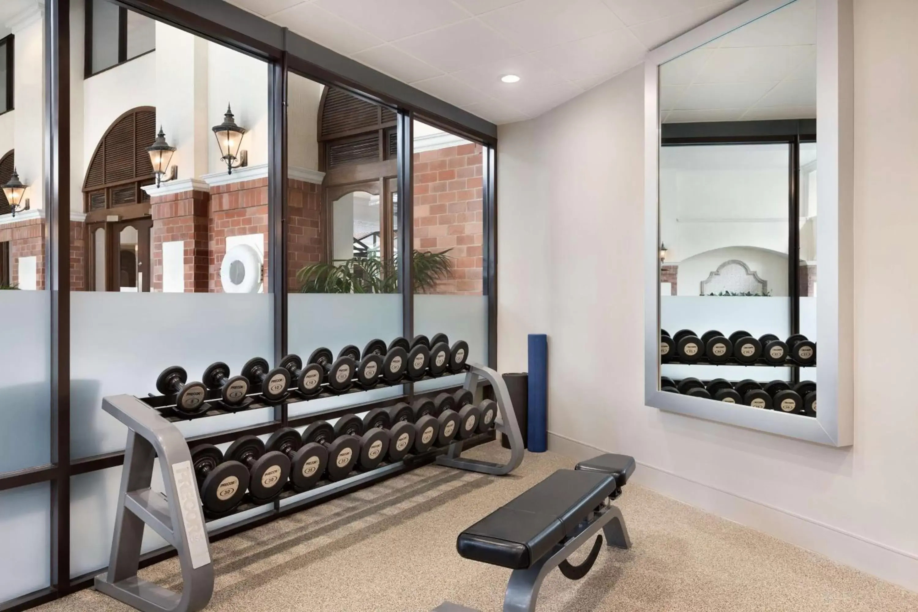 Fitness centre/facilities, Fitness Center/Facilities in Embassy Suites Dallas - DFW International Airport South