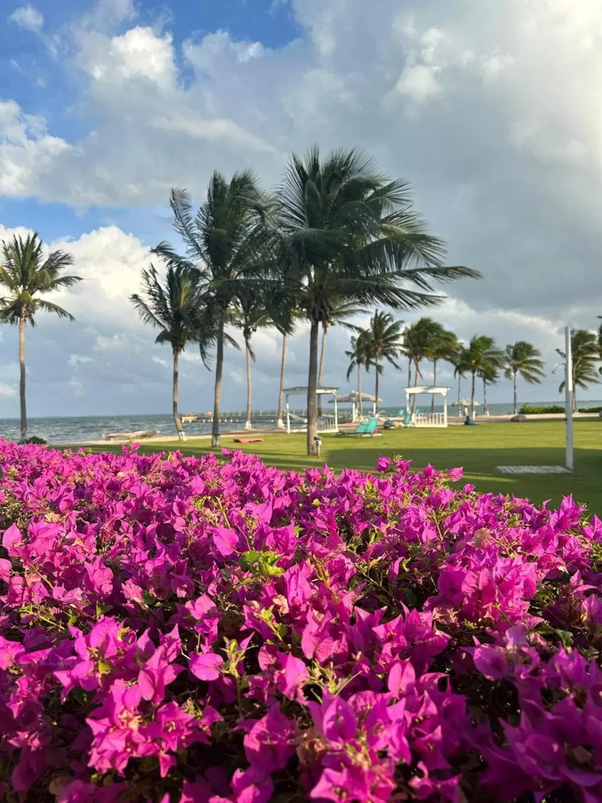 Garden in Holiday Inn Resort Grand Cayman, an IHG Hotel