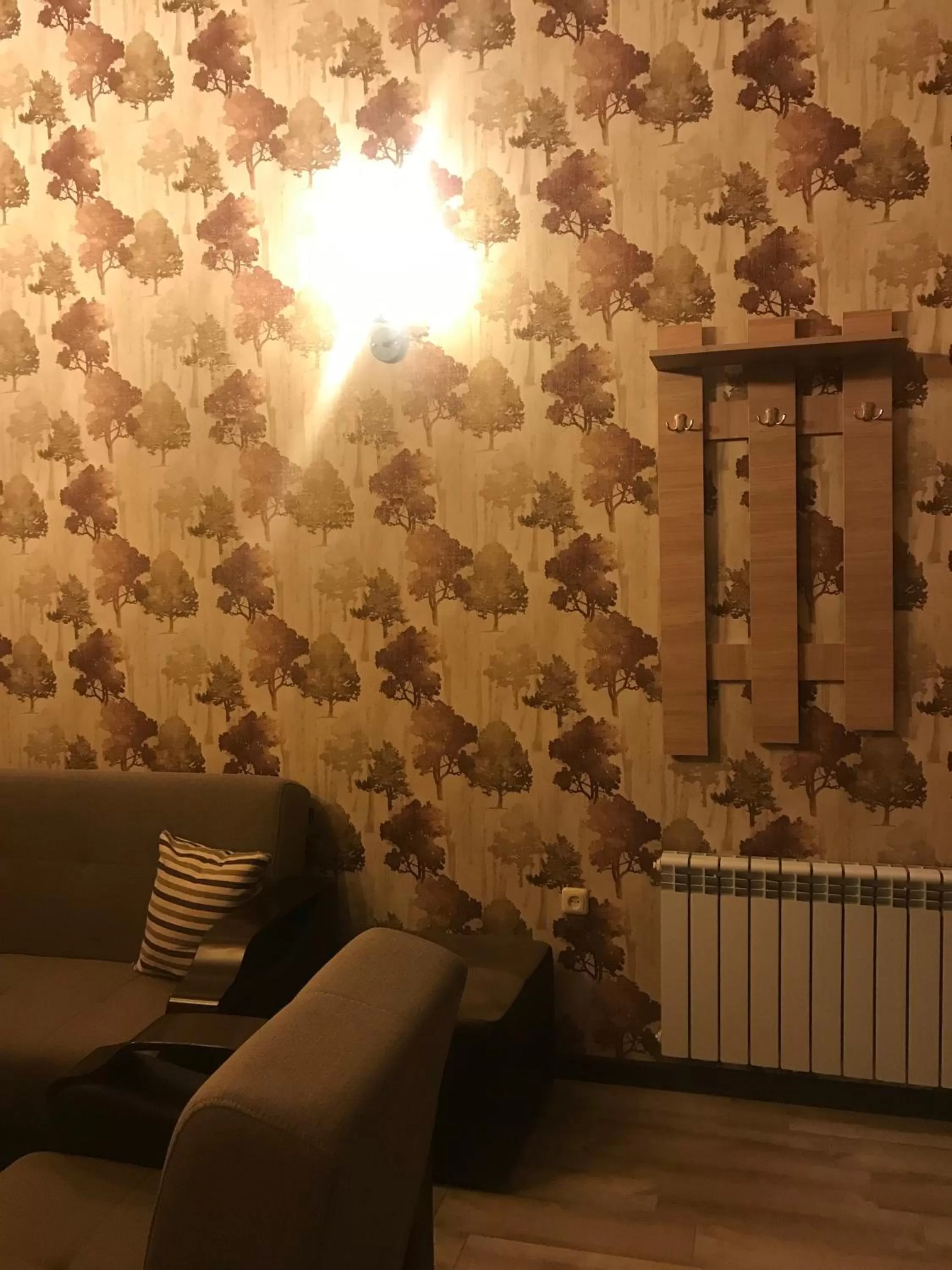 Living room, Seating Area in Eridana Hotel