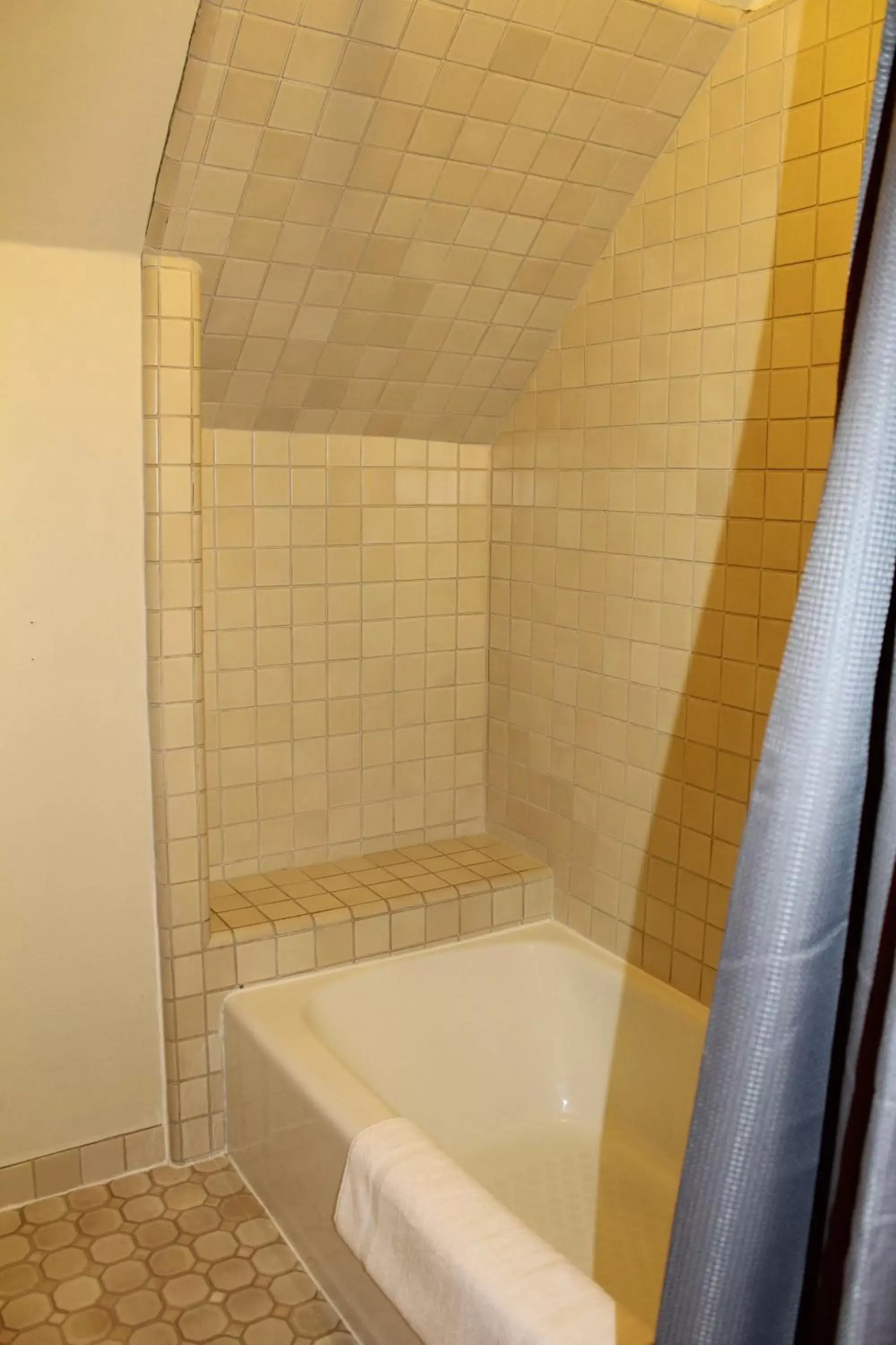 Shower, Bathroom in Pacific Grove Inn