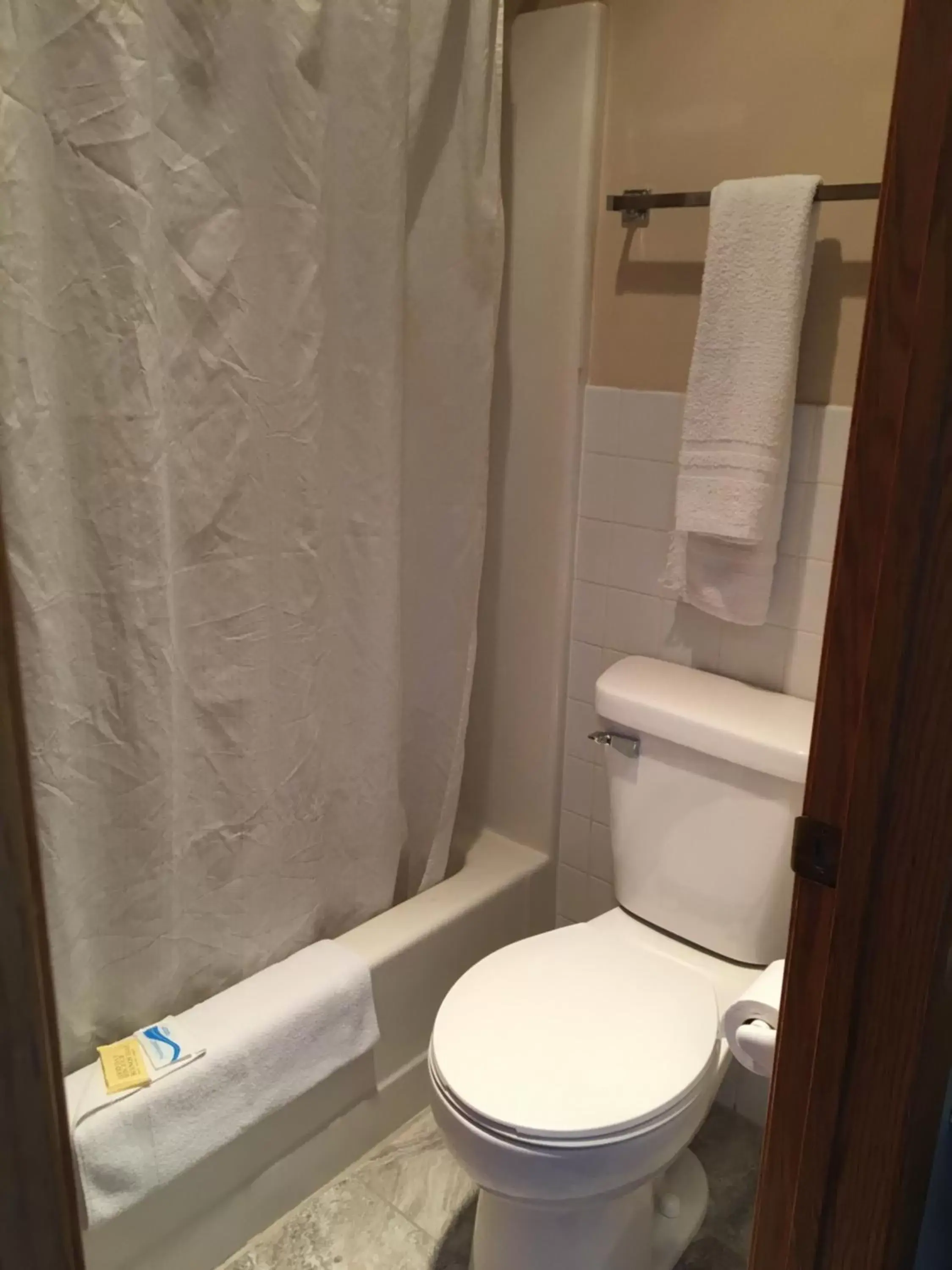 Shower, Bathroom in Budget Host Inn Fridley