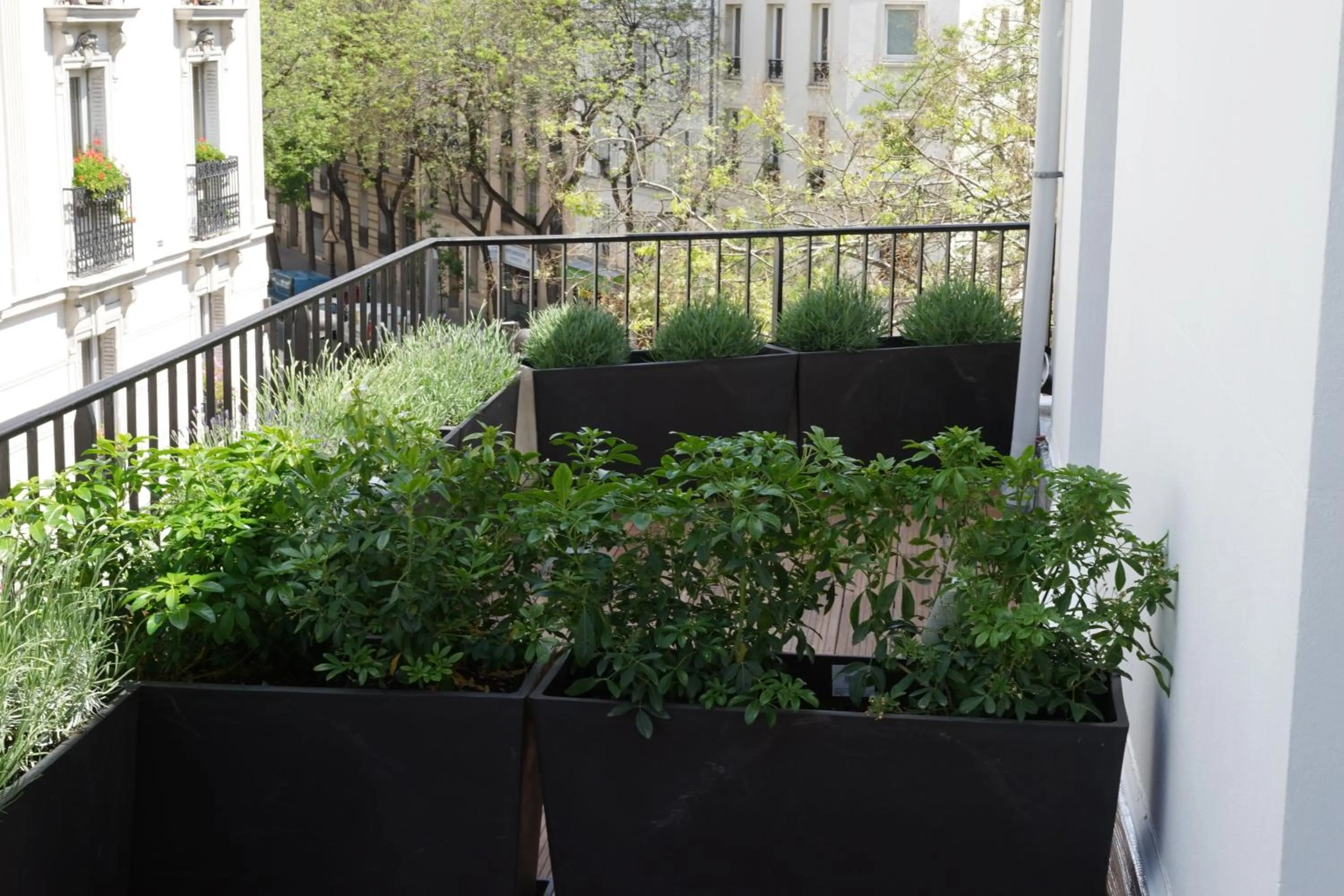 Balcony/Terrace in Hotel Max
