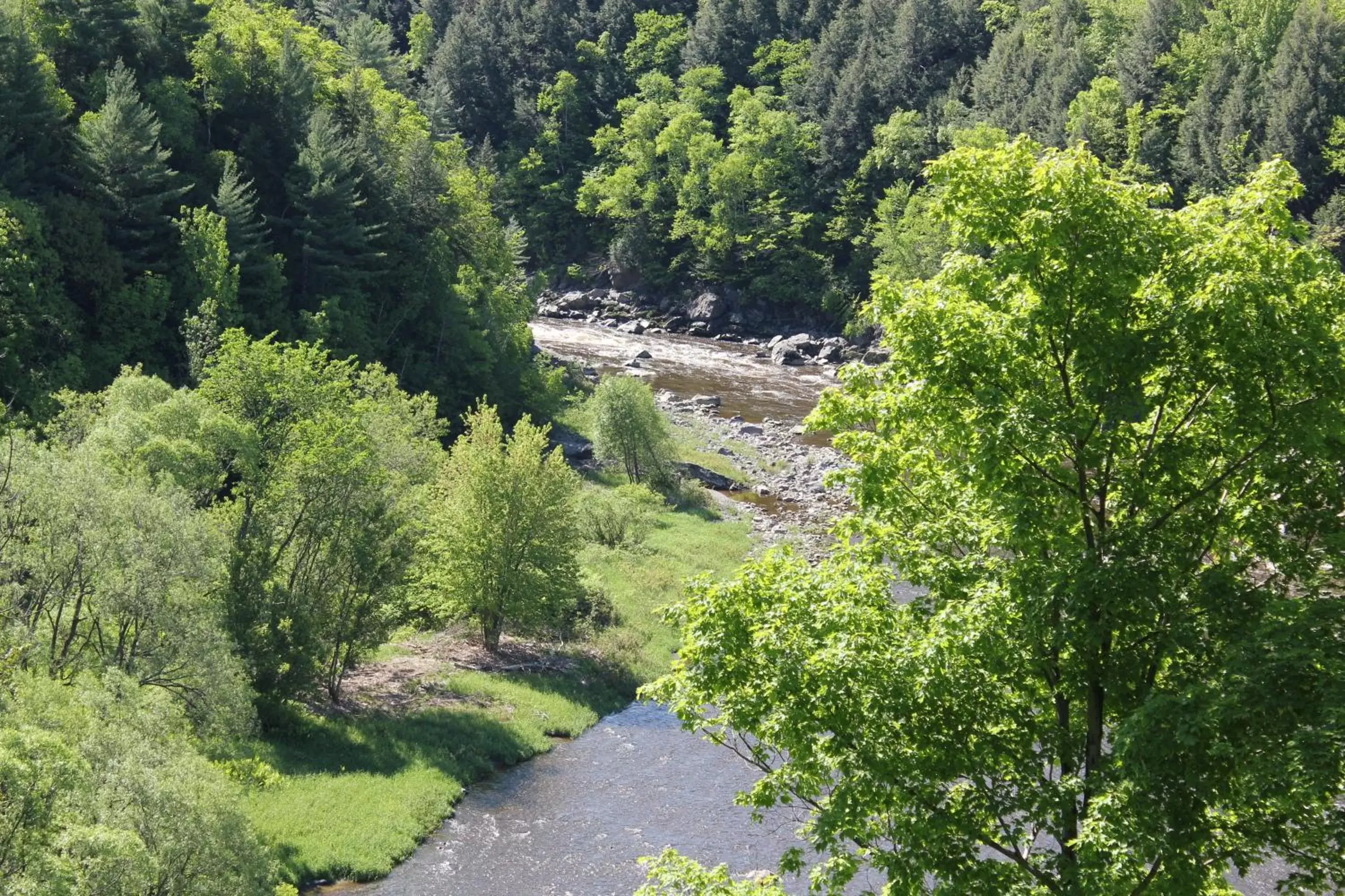 View (from property/room), Garden in Motel et Camping Etchemin