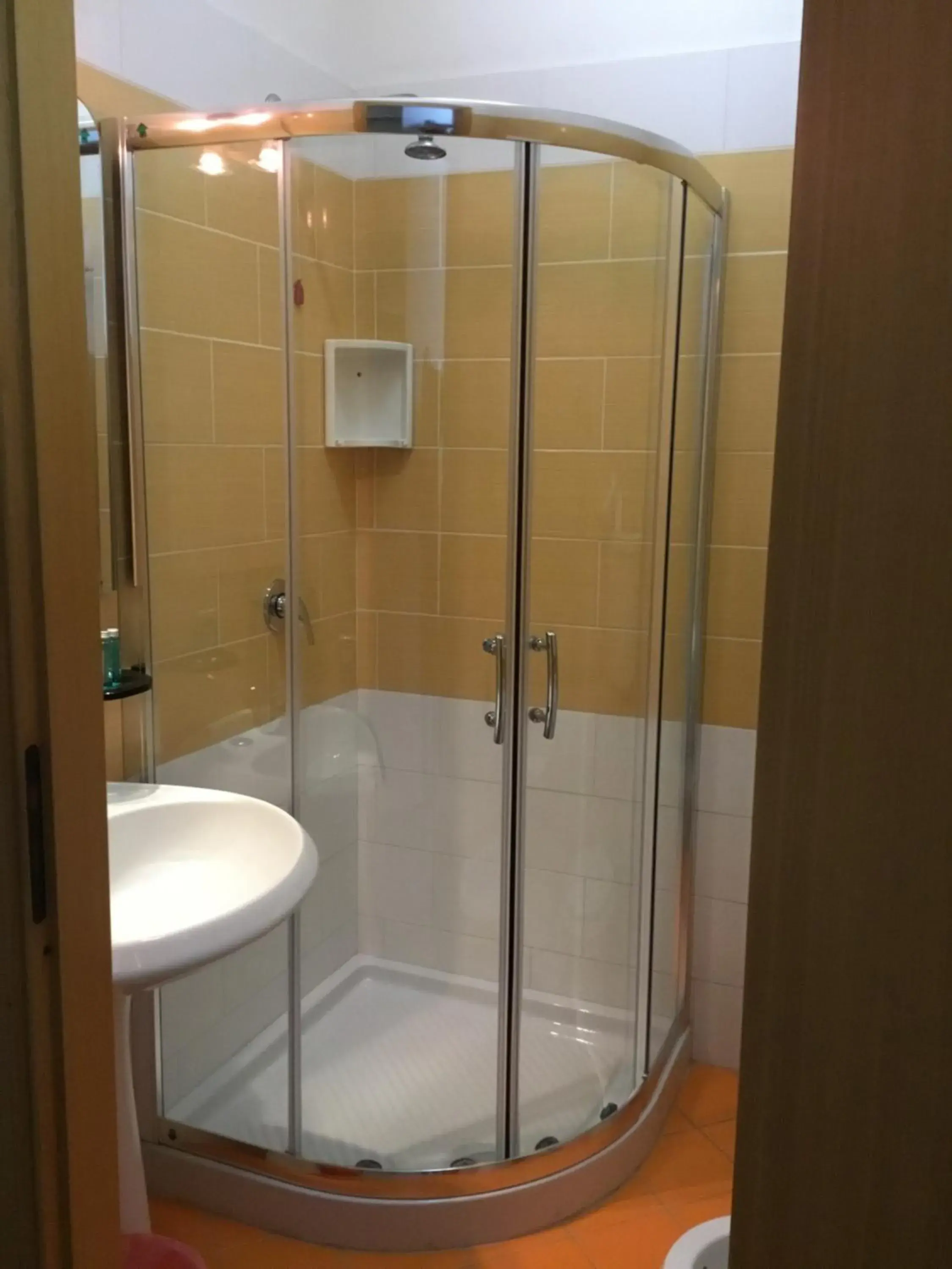 Shower, Bathroom in Hotel Vittorio