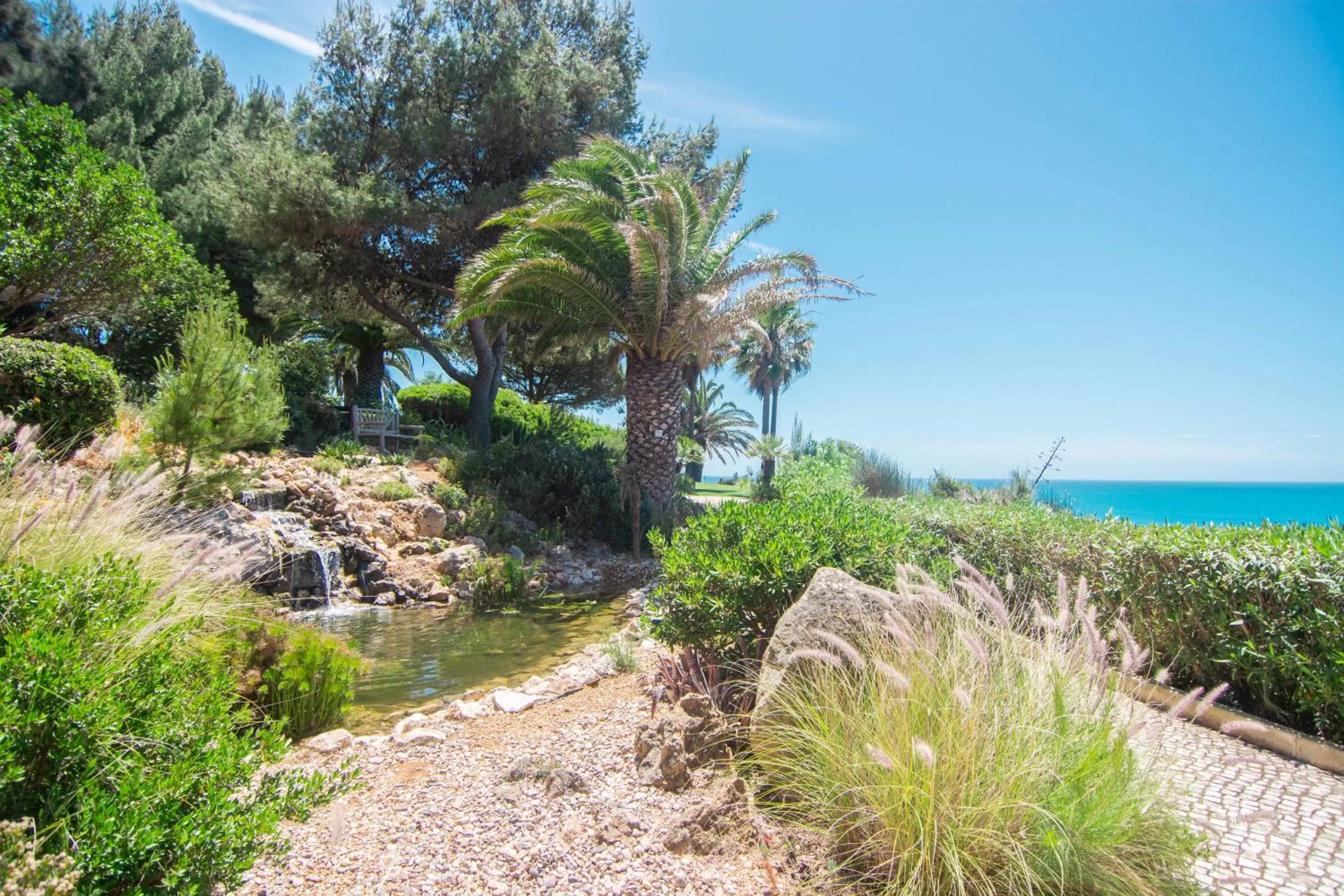 Garden in Boutique Hotel Vivenda Miranda