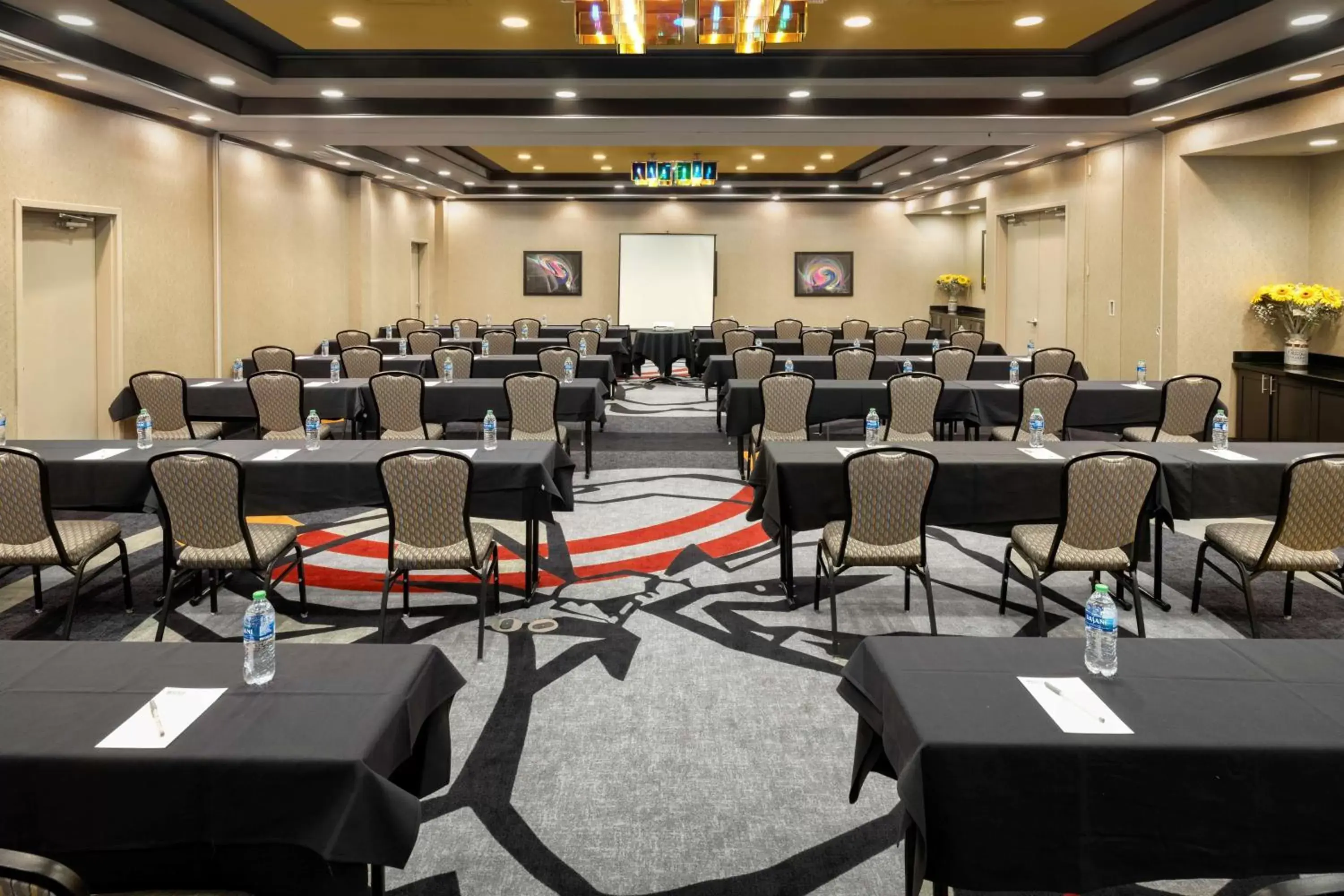 Meeting/conference room in Hilton Garden Inn Ft Worth Alliance Airport