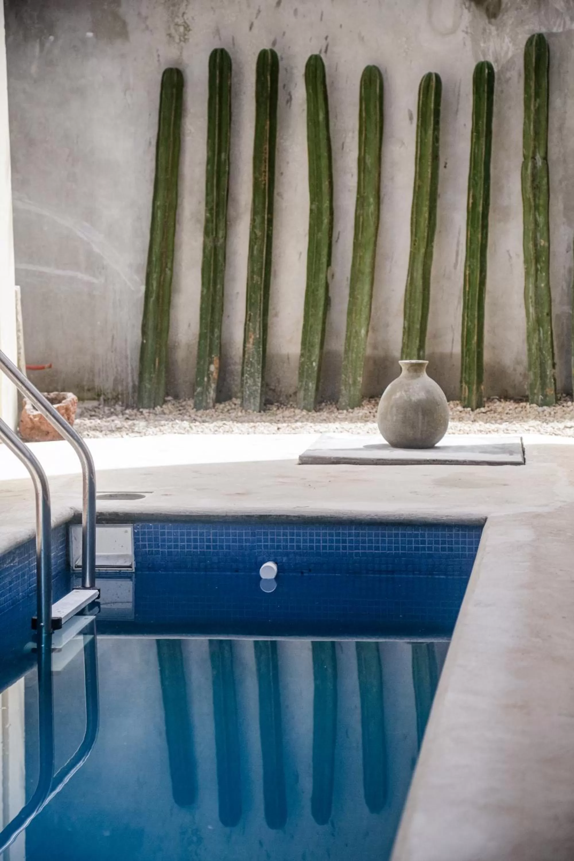 Swimming pool in Alma de Zorro