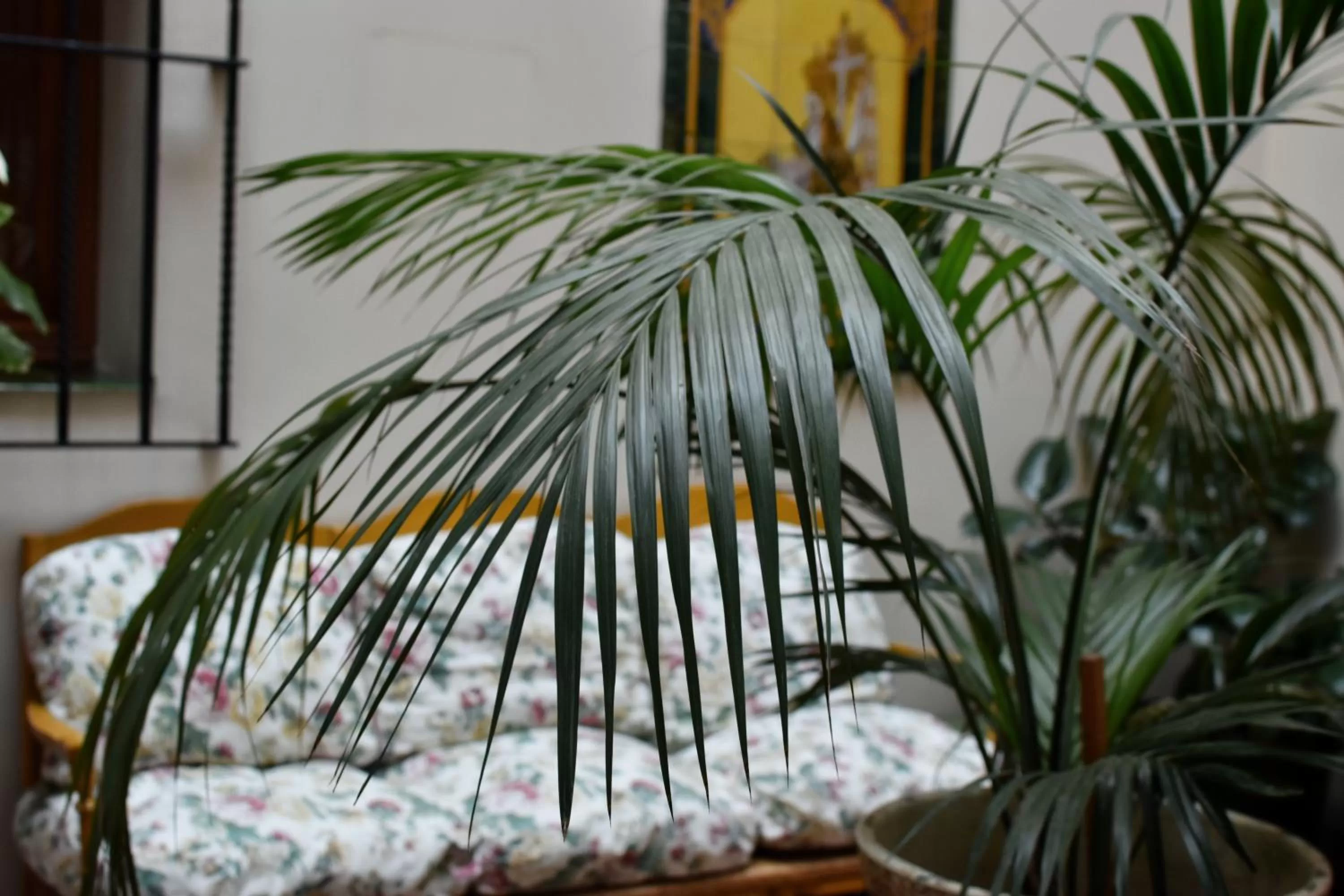 Property building in Hotel Convento La Gloria