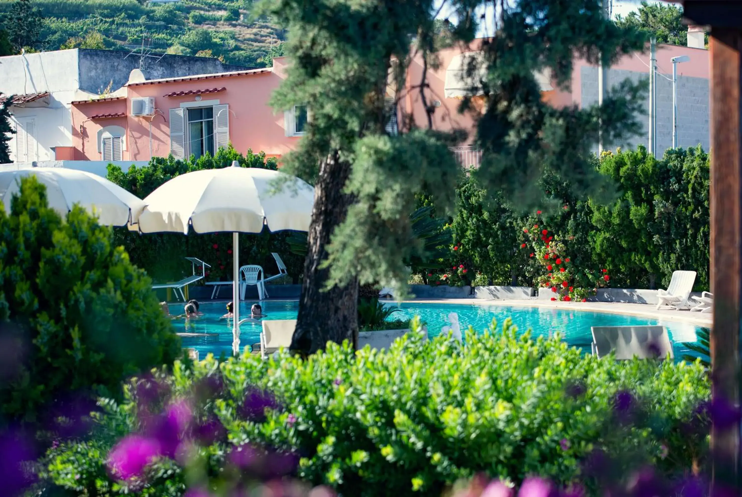 Garden, Swimming Pool in Hotel Internazionale