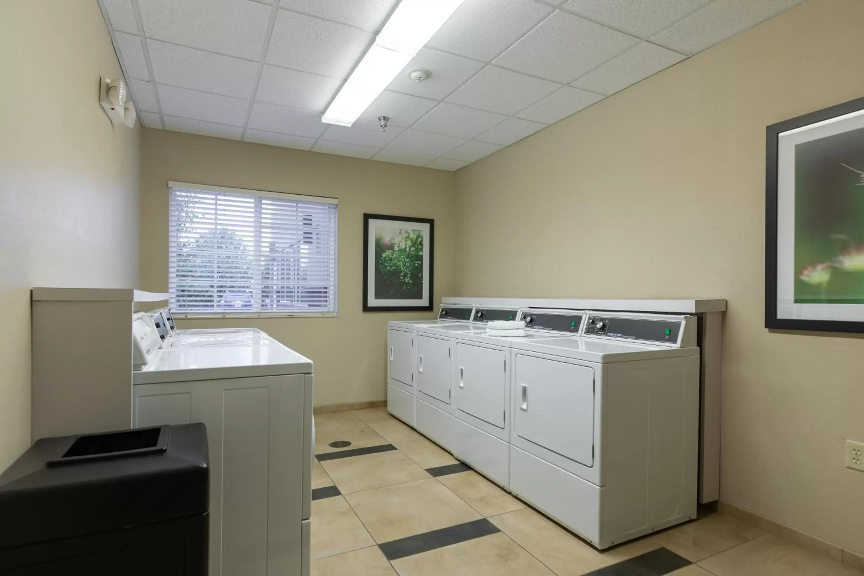 Other, Kitchen/Kitchenette in Candlewood Suites San Marcos, an IHG Hotel