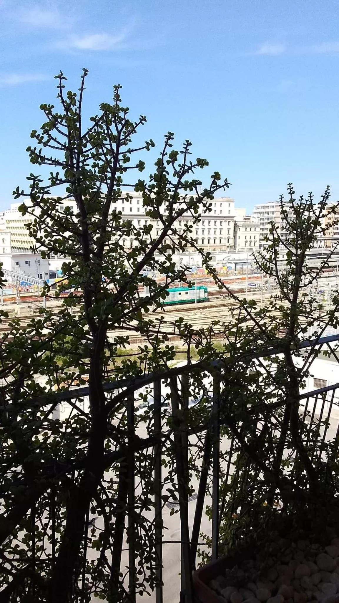 Property building in Artistic House