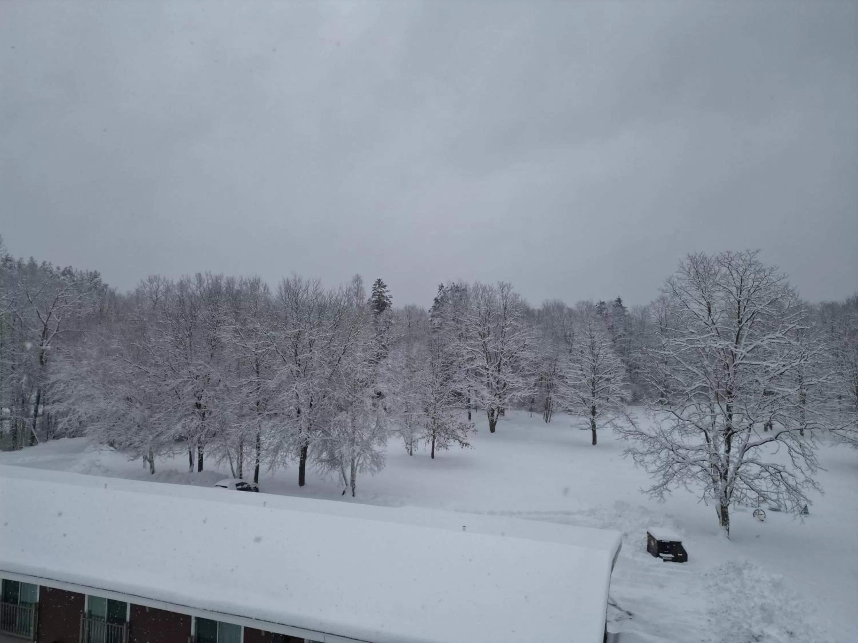 Winter in The Putney Inn