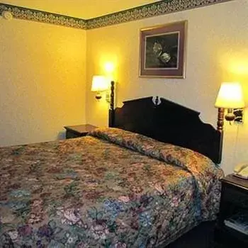 Bed in Eagle Inn Sumter