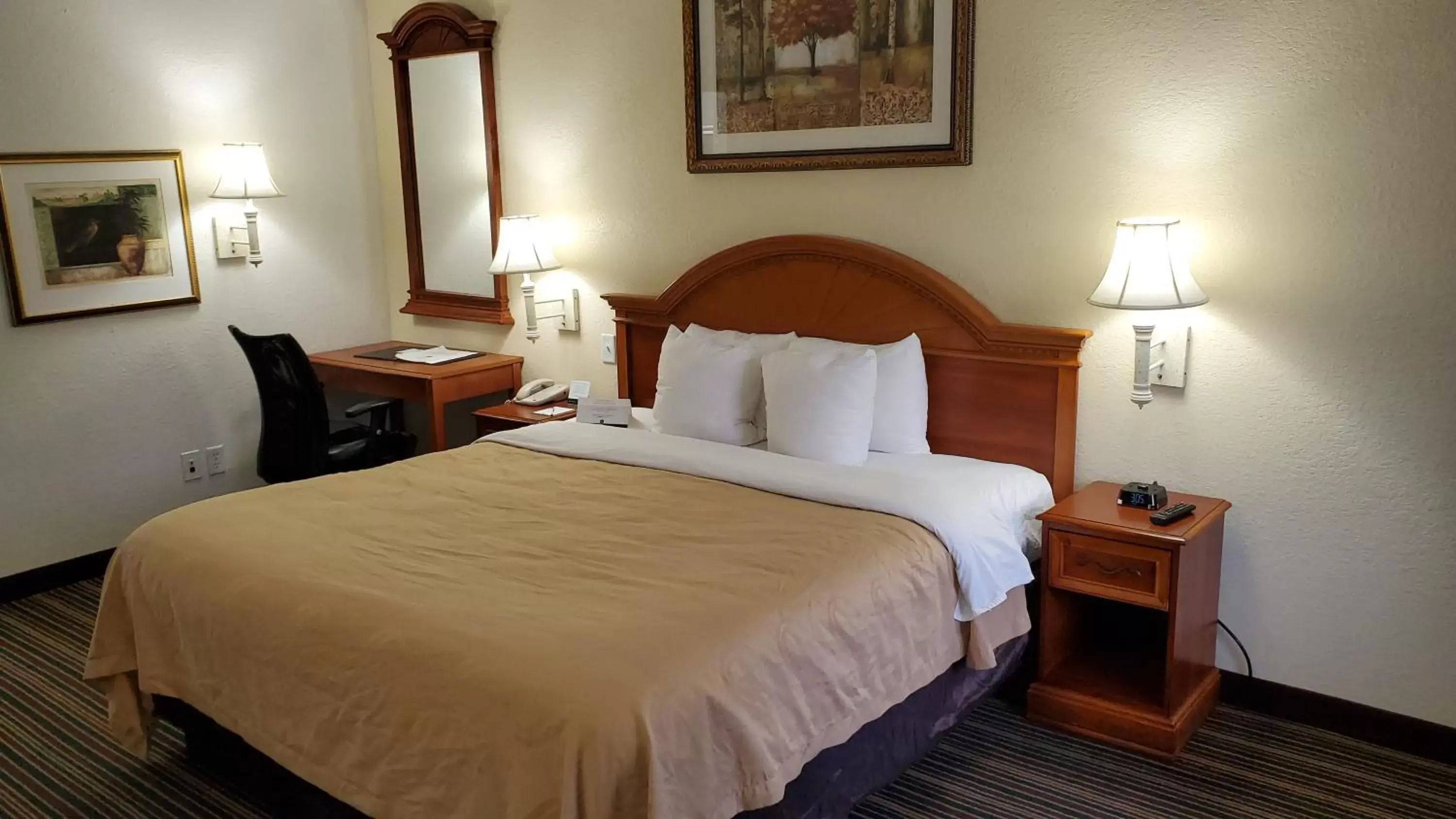 Bed in Quality Inn & Suites Biltmore East