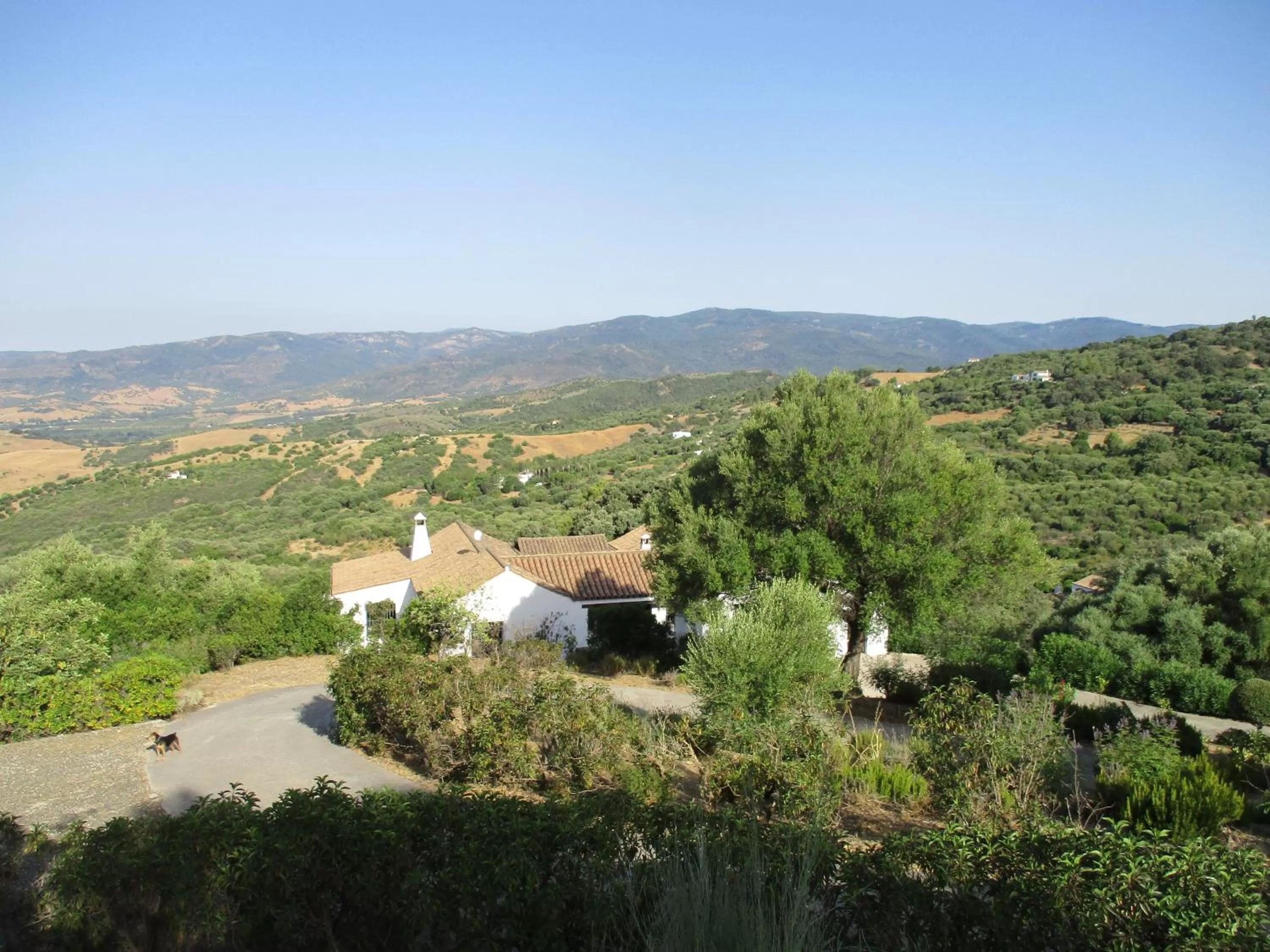 Property building, Bird's-eye View in Casa Laibon