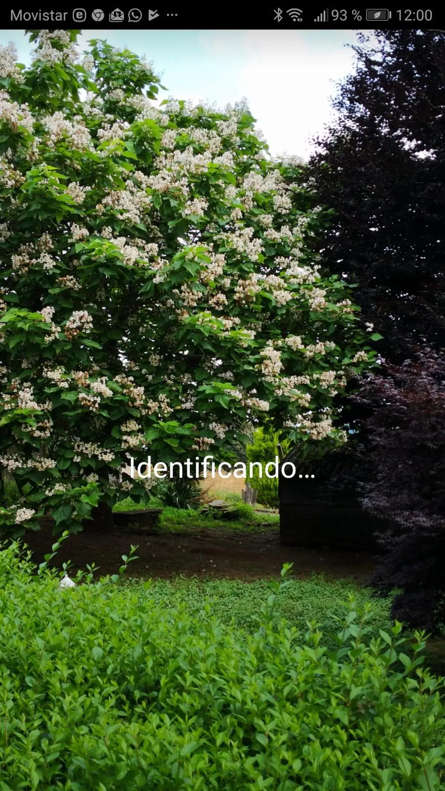 Natural landscape, Garden in Hotel Casa de Díaz