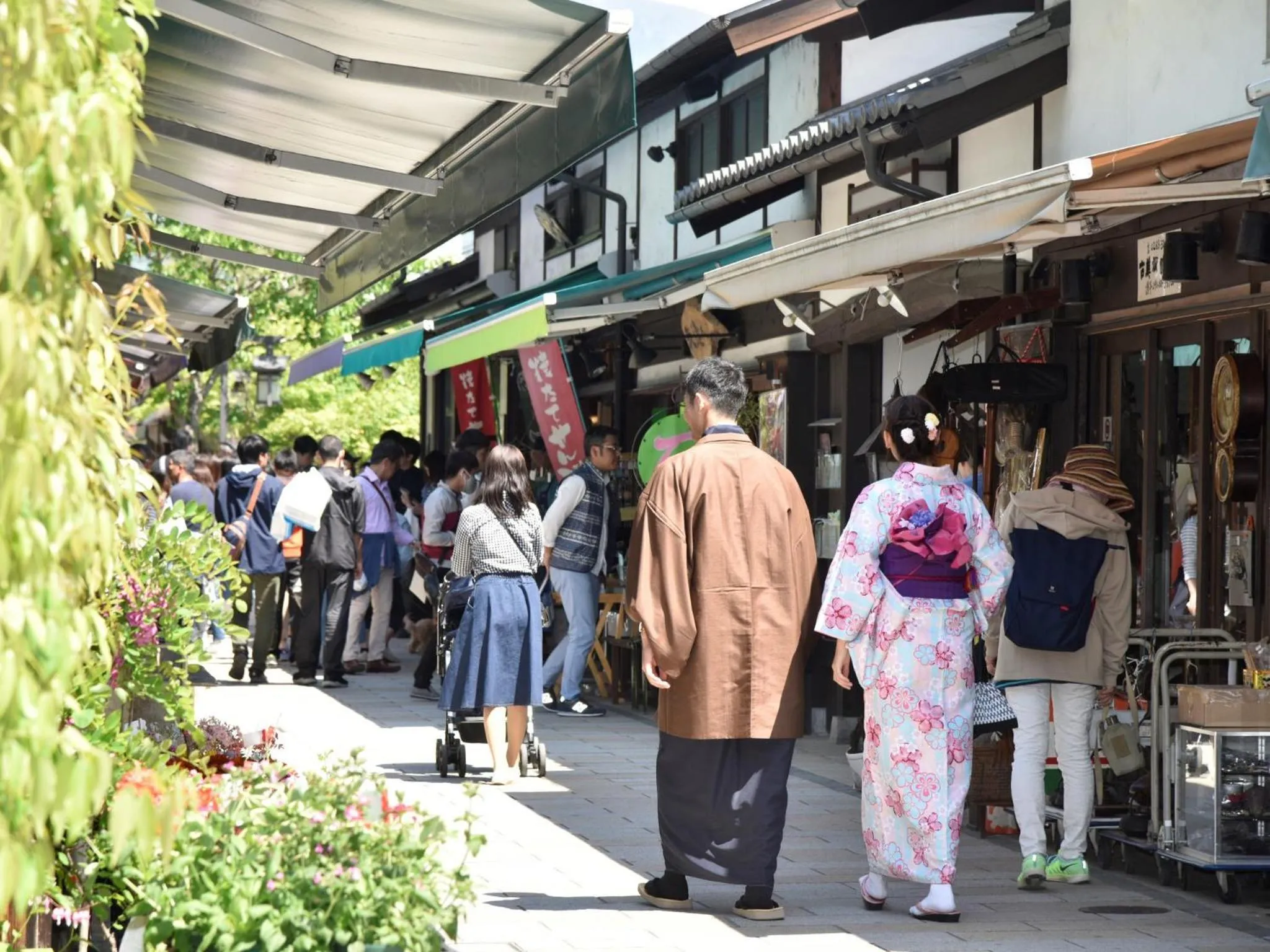 Area and facilities in Hotel Buena Vista