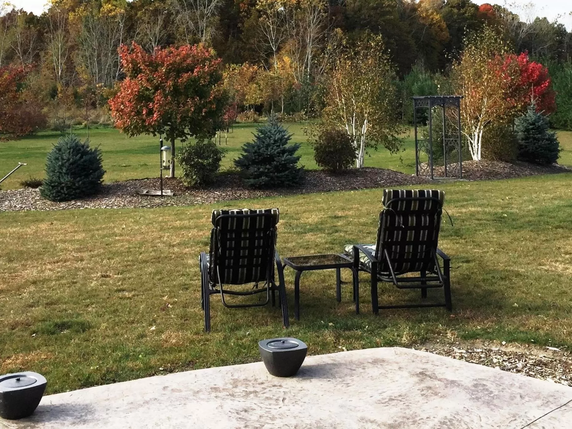 View (from property/room), Garden in Wenzler's Landing B&B