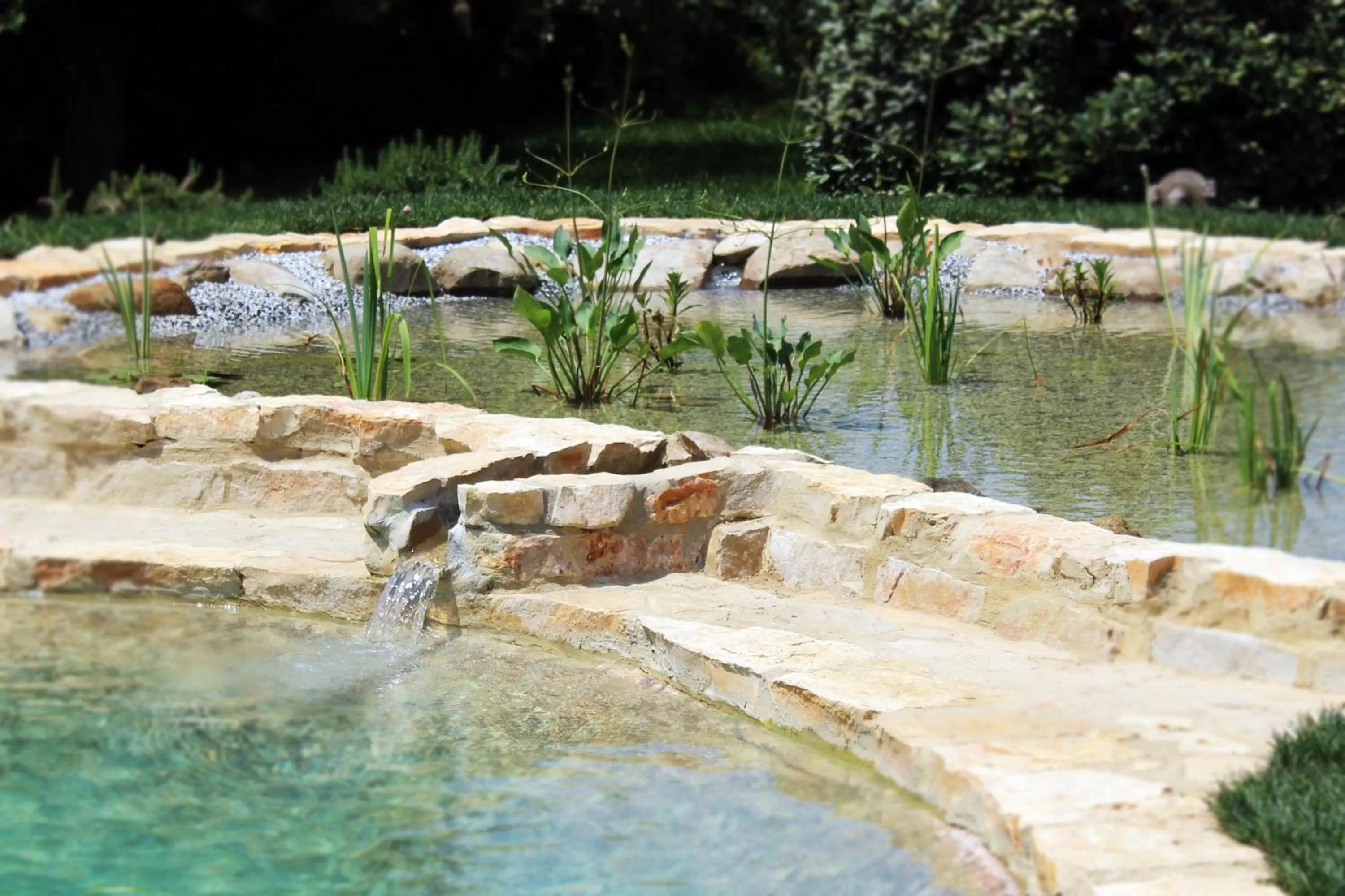 Lake view in Le Ginestre