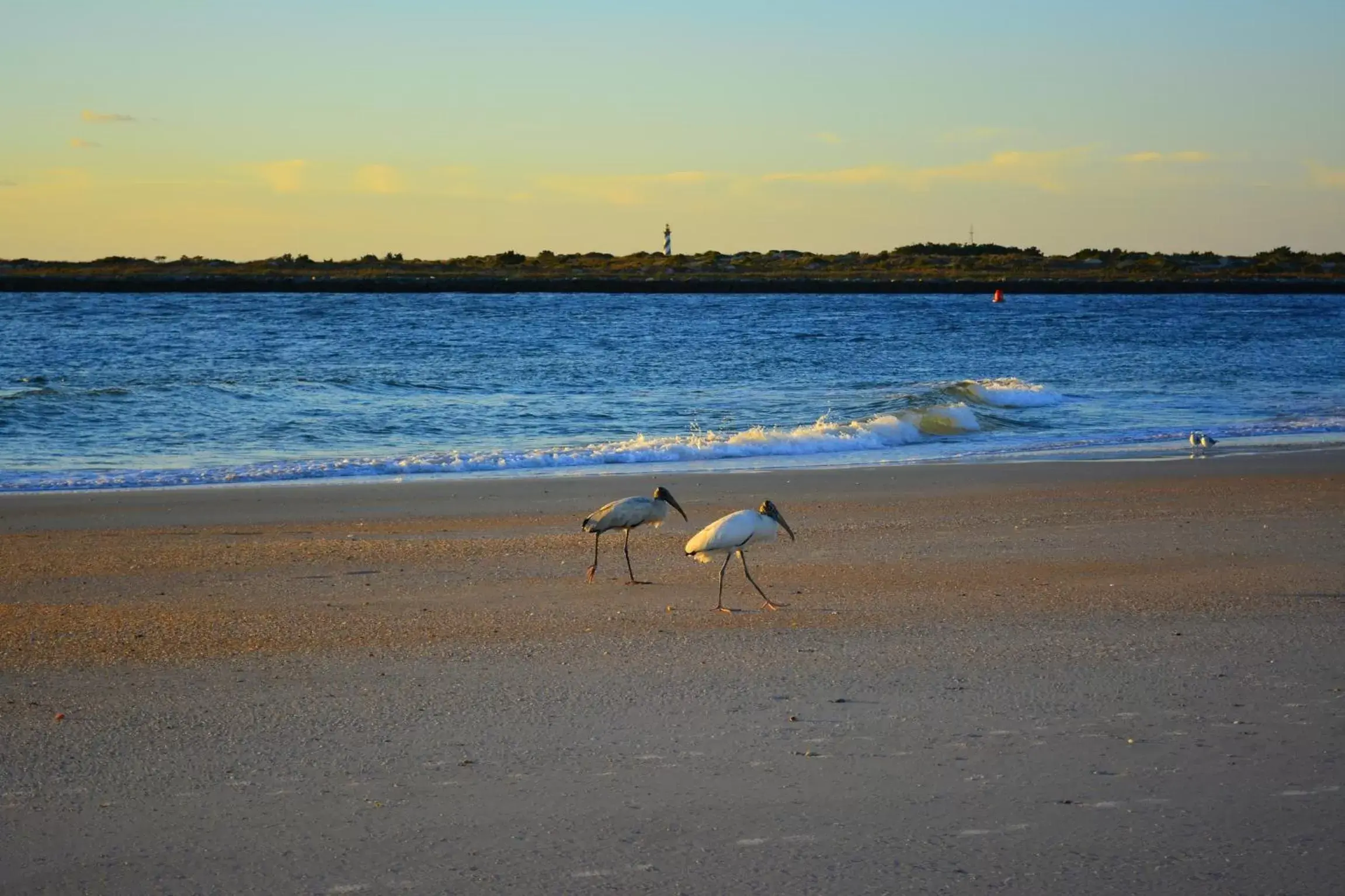 Off site in The Saint Augustine Beach House