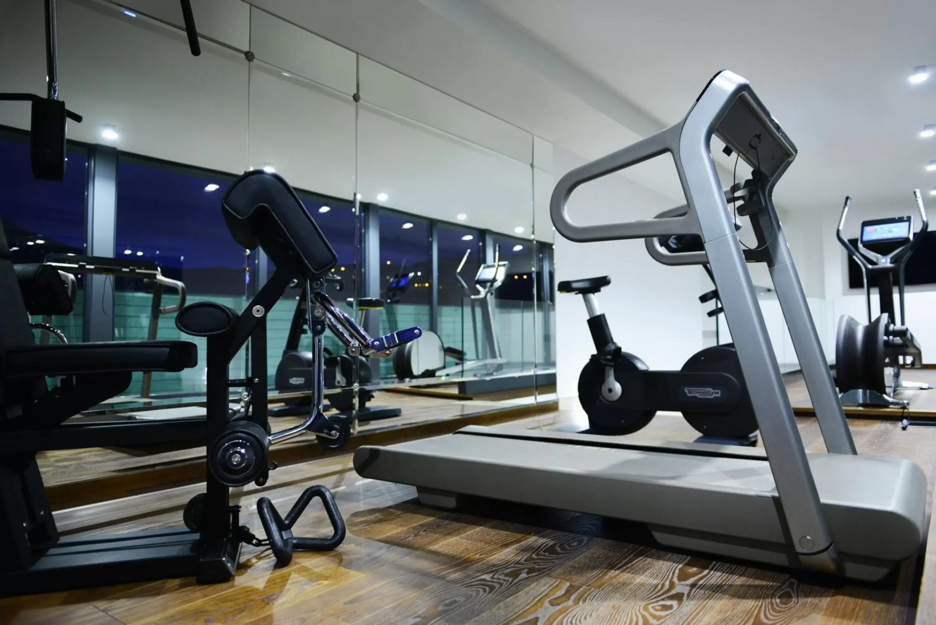 Fitness centre/facilities, Fitness Center/Facilities in Ambassadori Tbilisi Hotel
