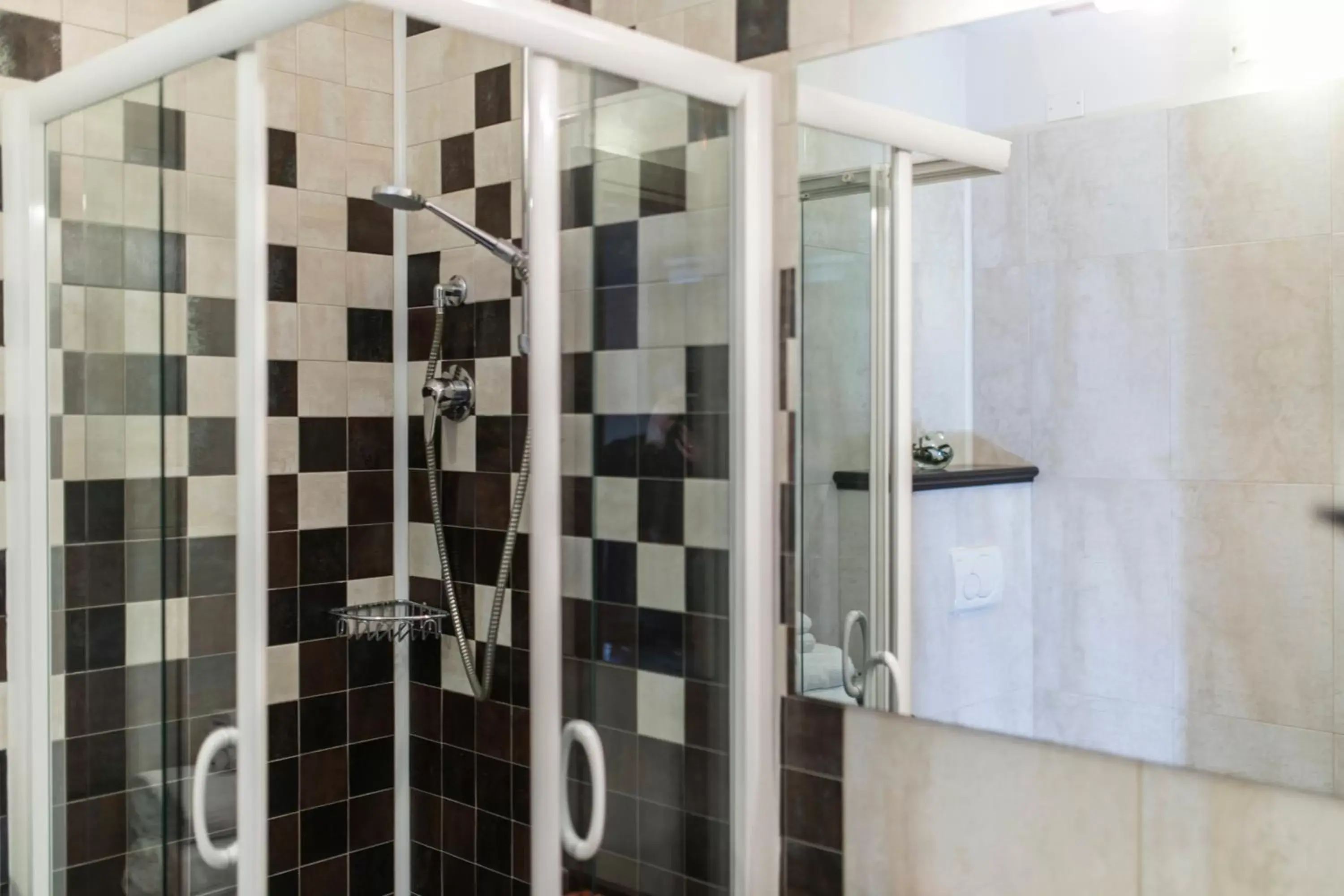 Shower, Bathroom in Hotel Donatello Imola