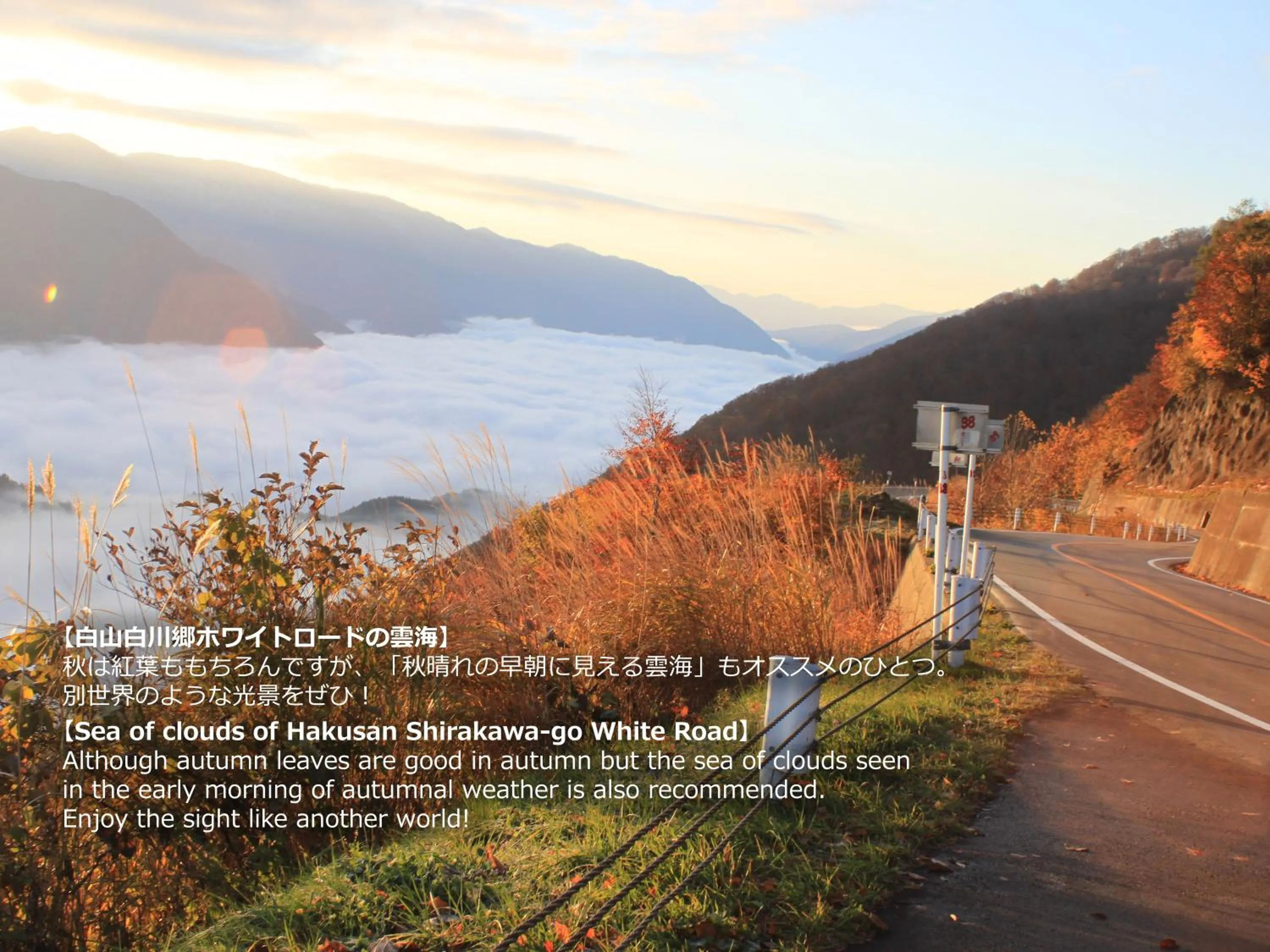 Natural landscape in Resort Villa Takayama
