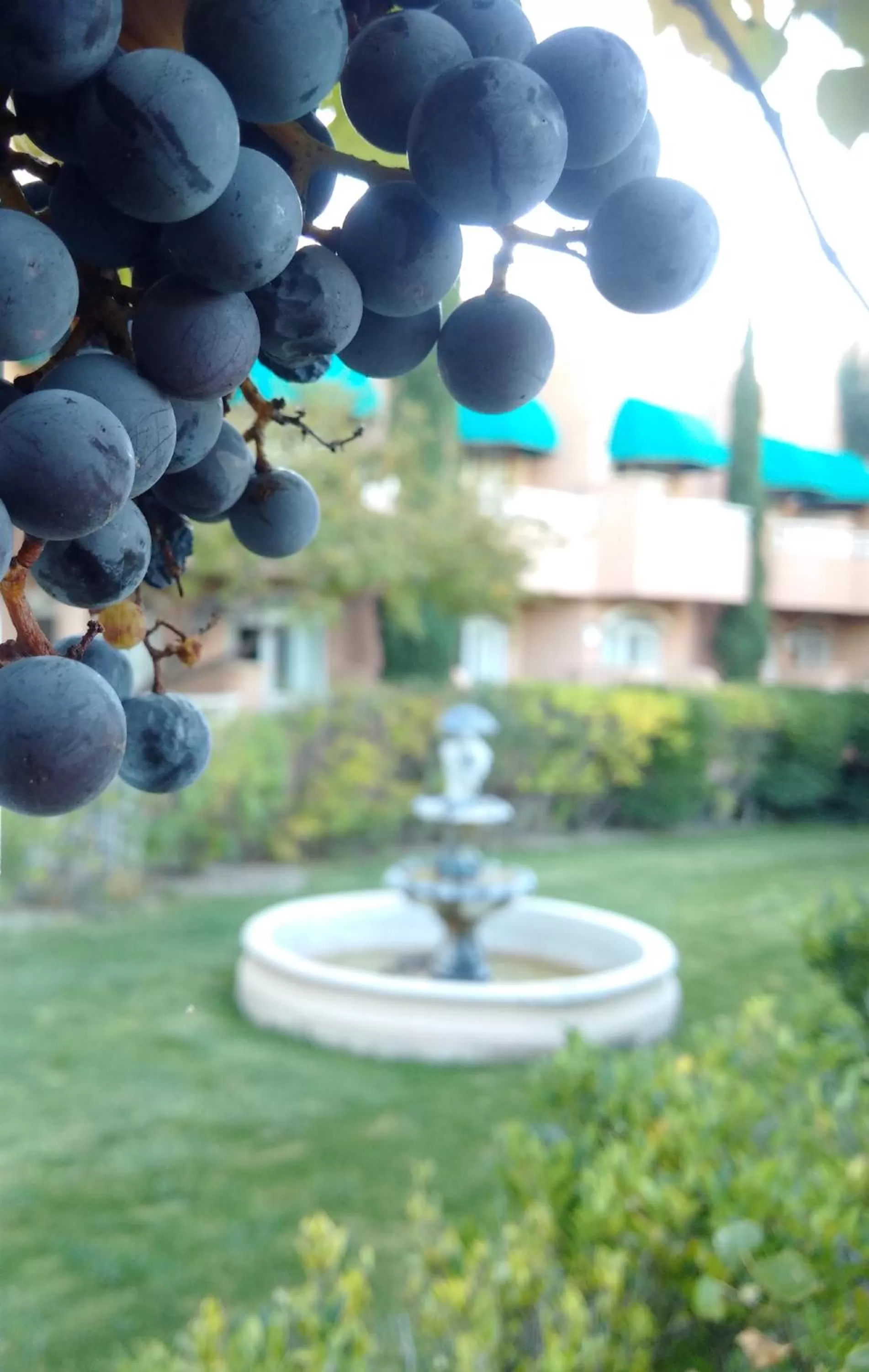 Garden in Forest Villas Hotel