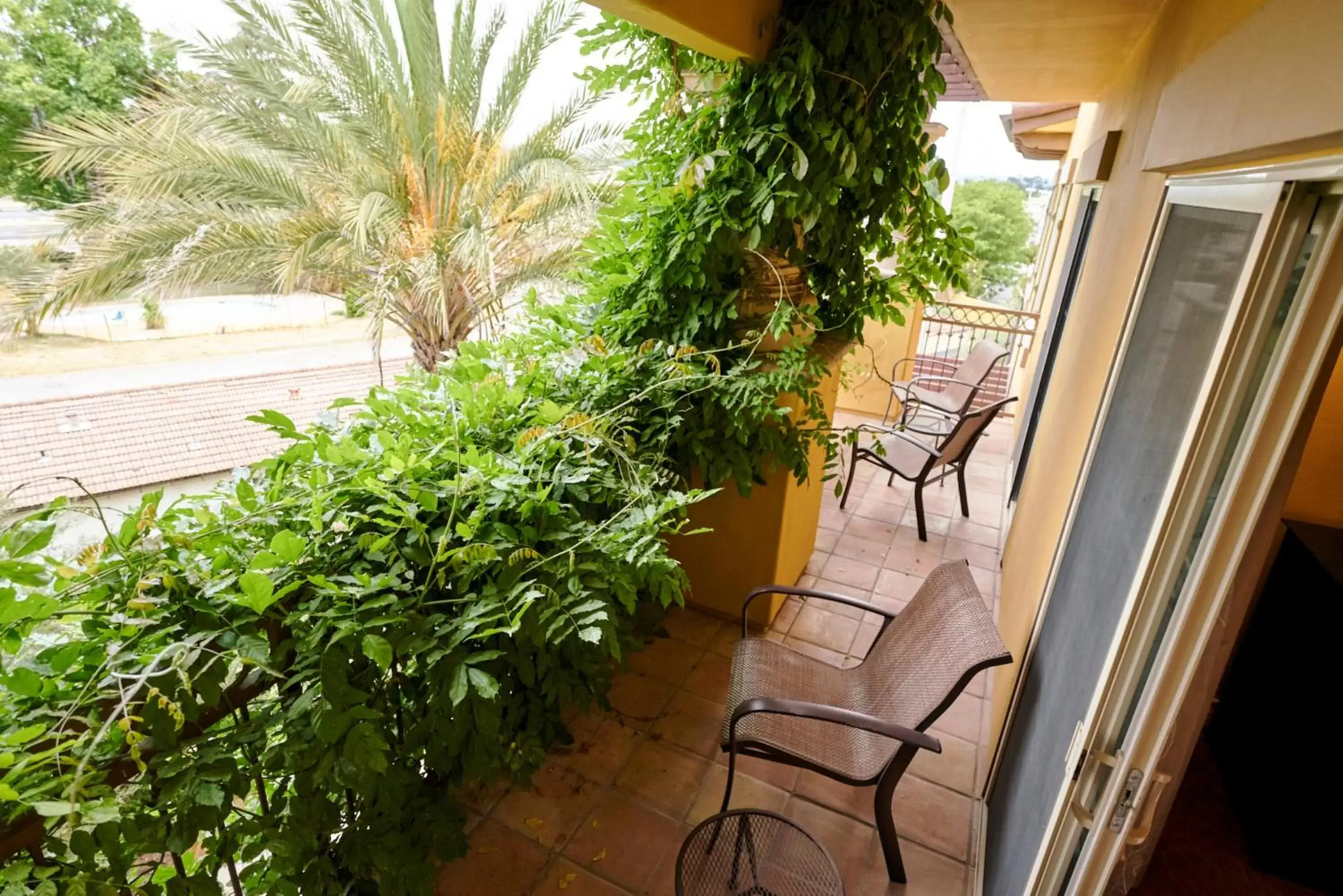 Balcony/Terrace in La Bellasera Hotel And Suites