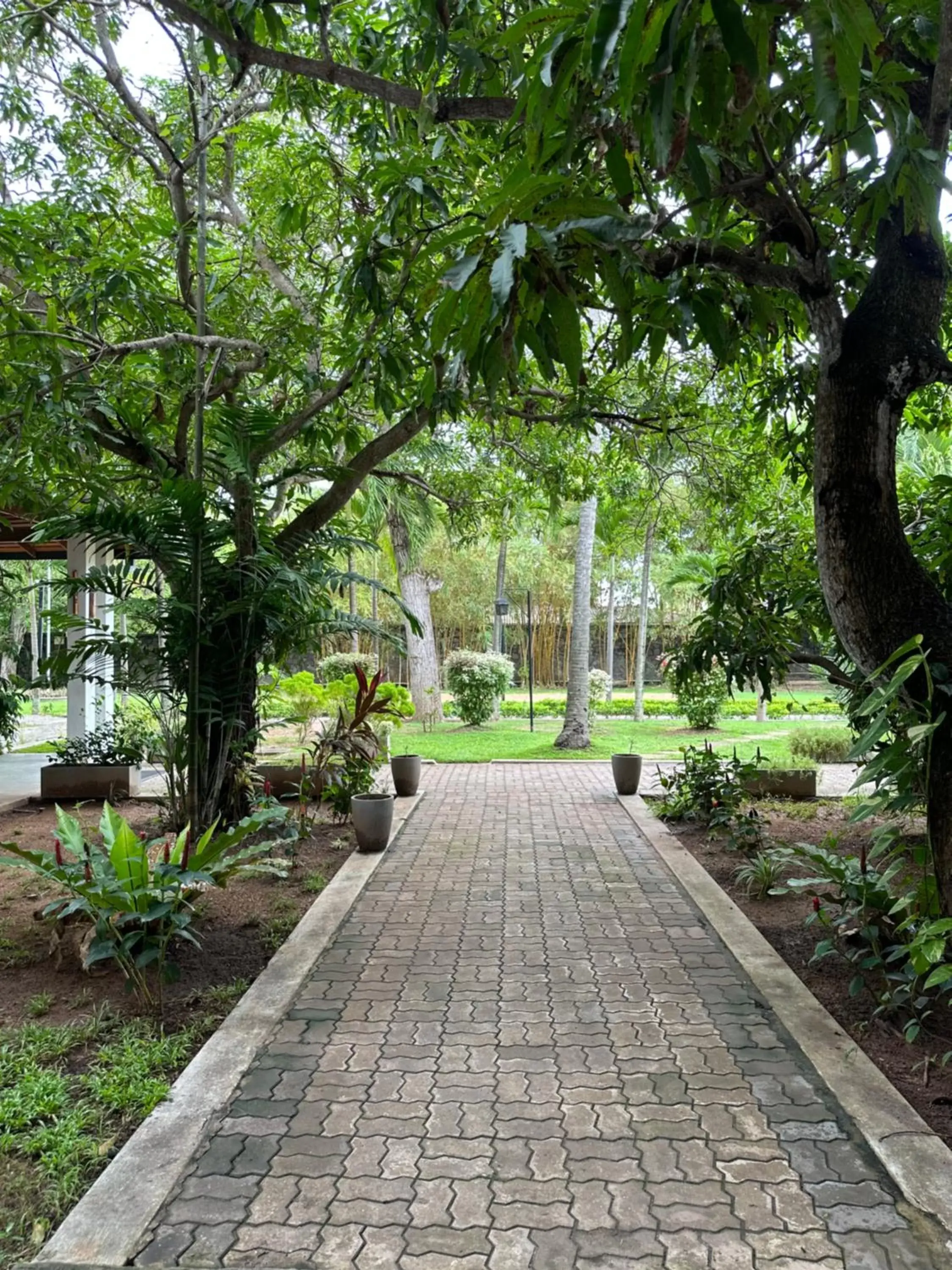 Garden view in Amaluna Resorts Garden view in Amaluna Resorts