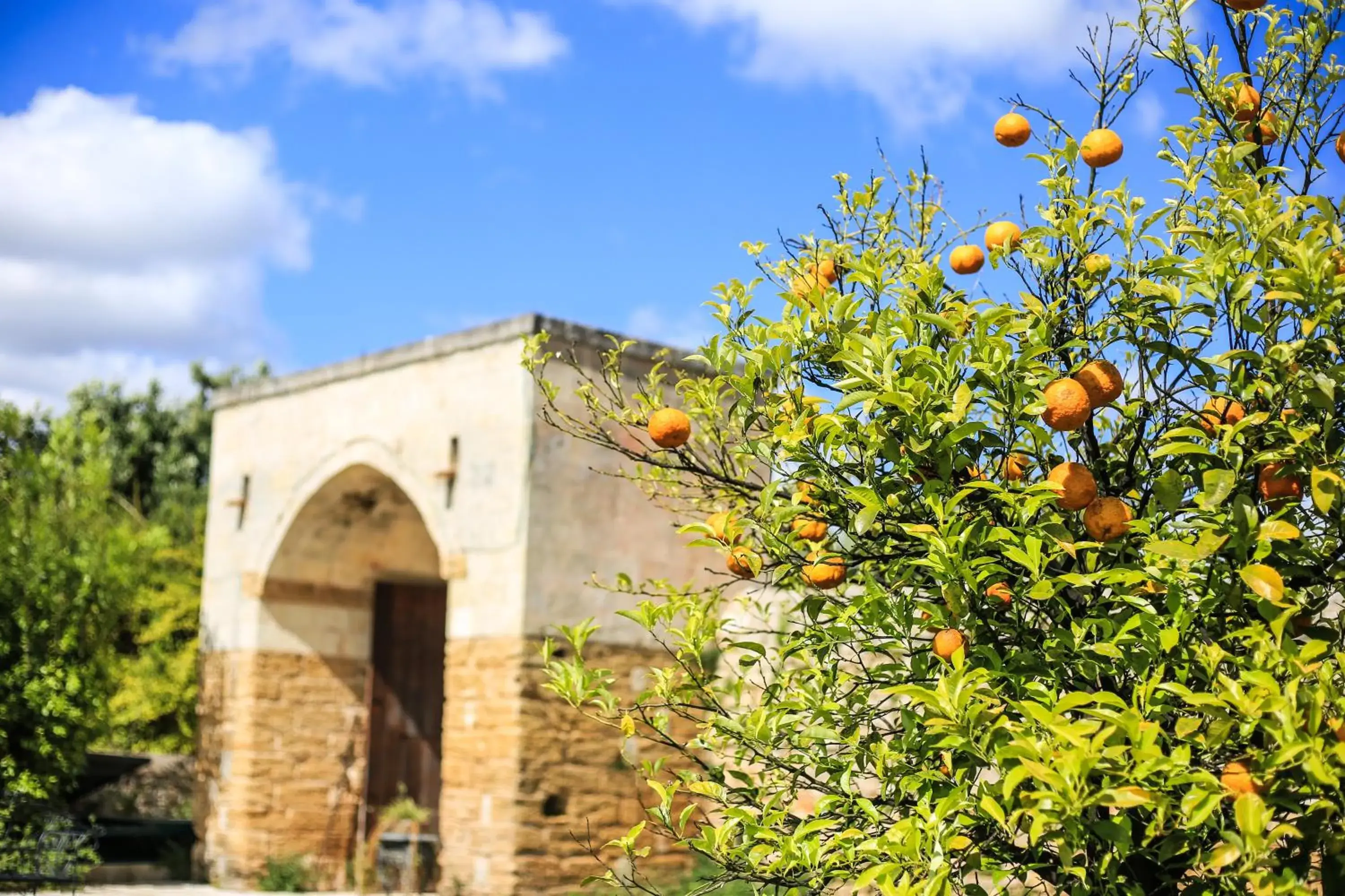 Property building in Tenuta Moreno Property building in Tenuta Moreno