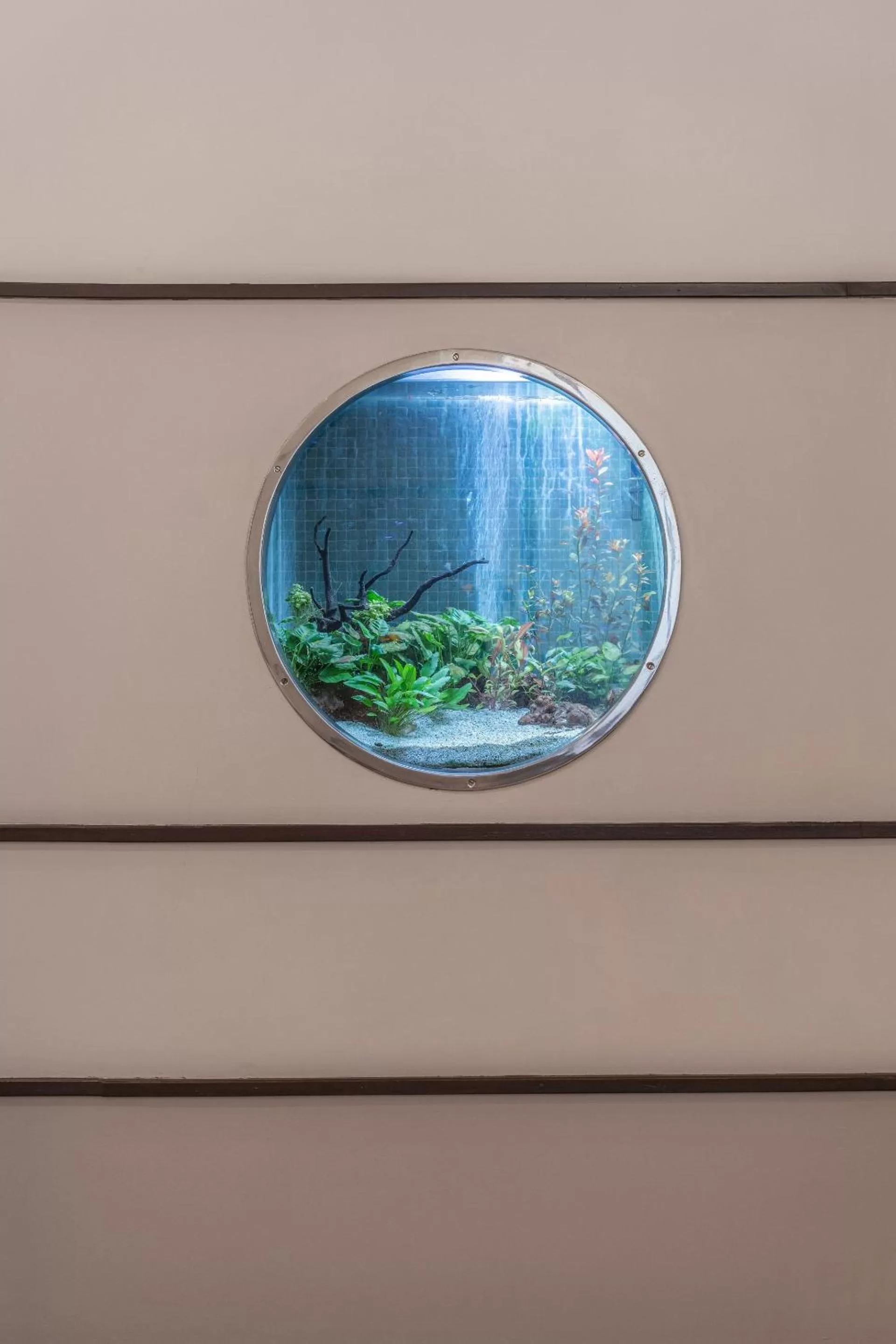 Activities in Terra Nostra Garden Hotel