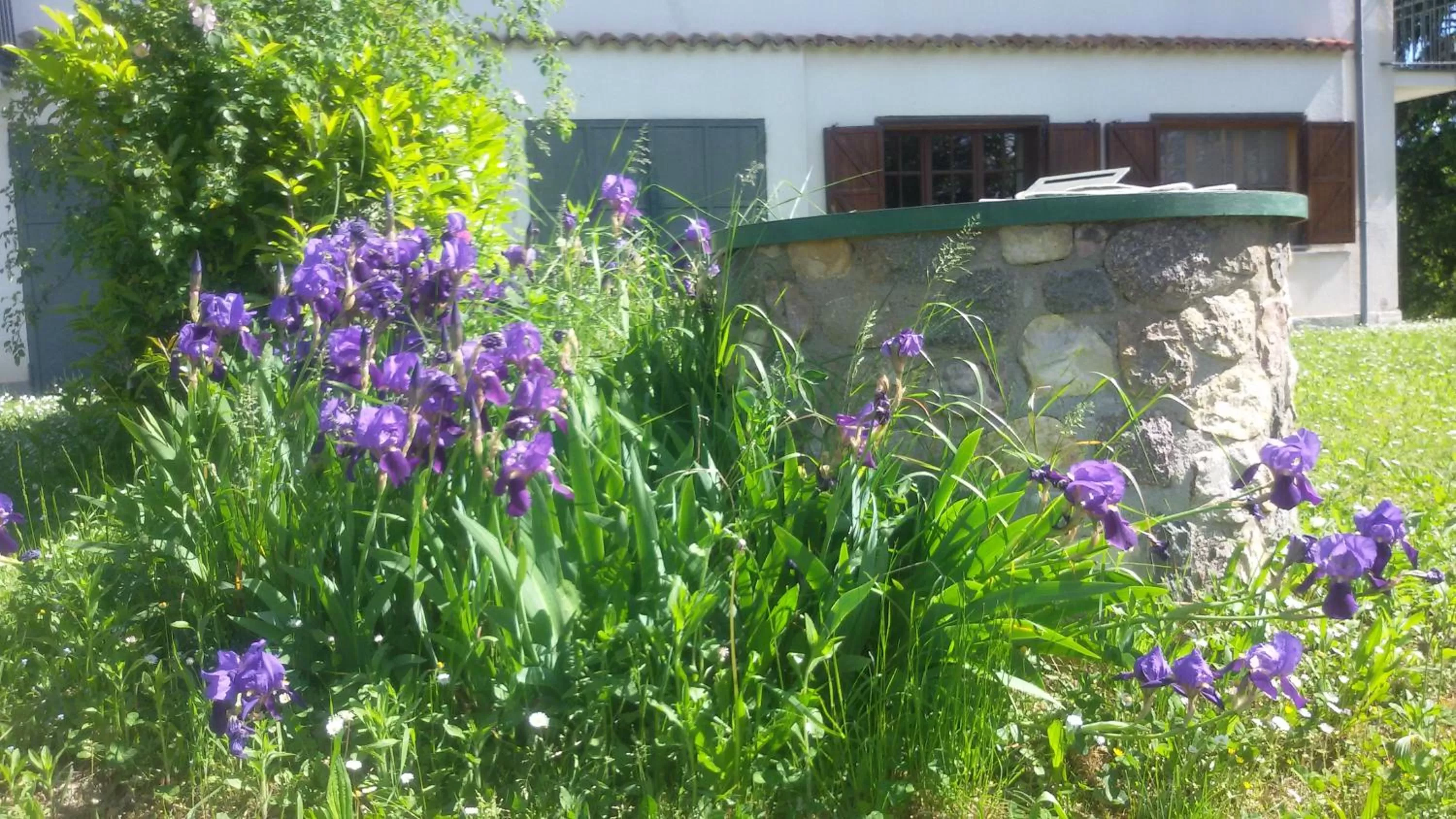 On site, Property Building in Cascina Torello