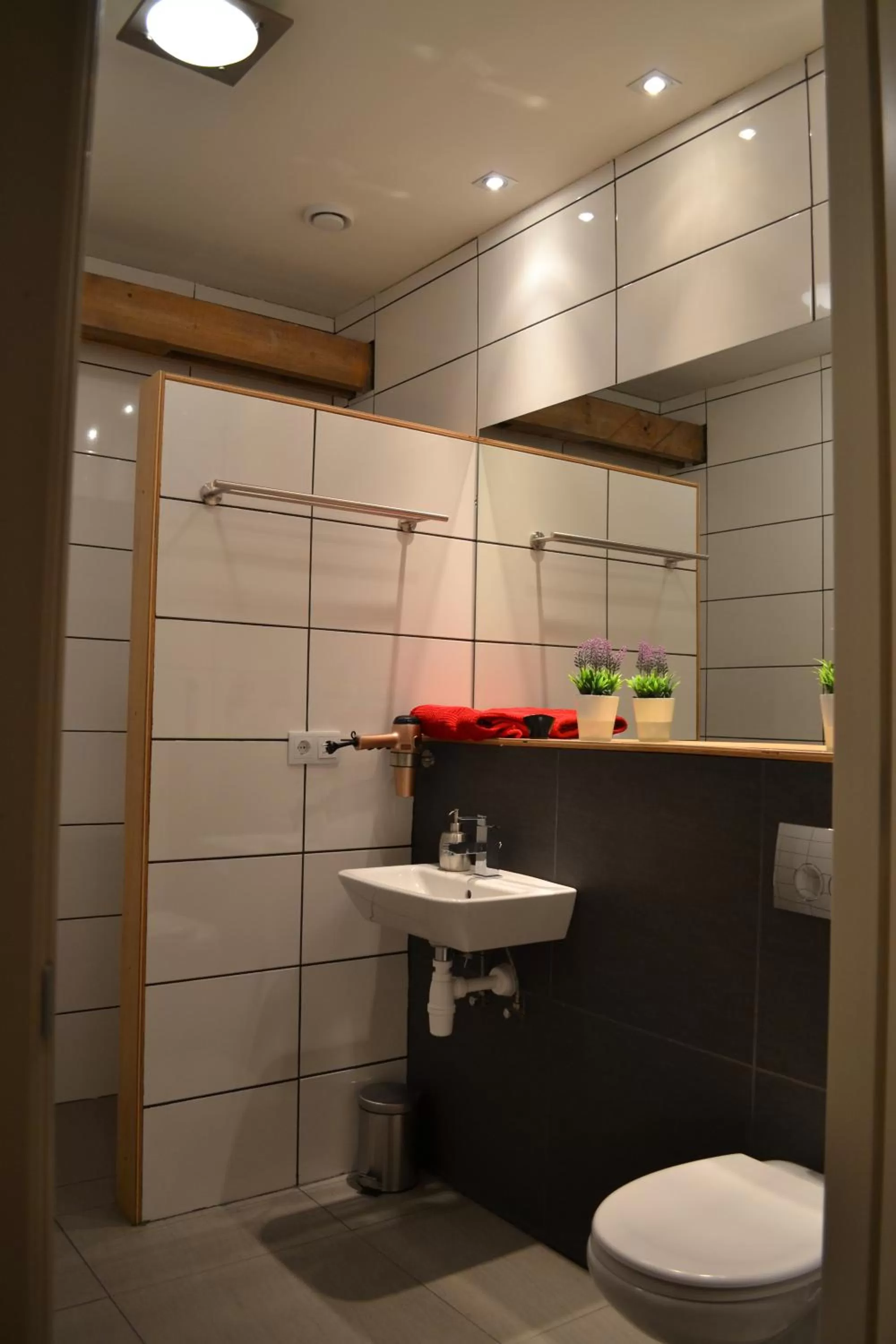 Shower in B&B Johannes-Hoeve