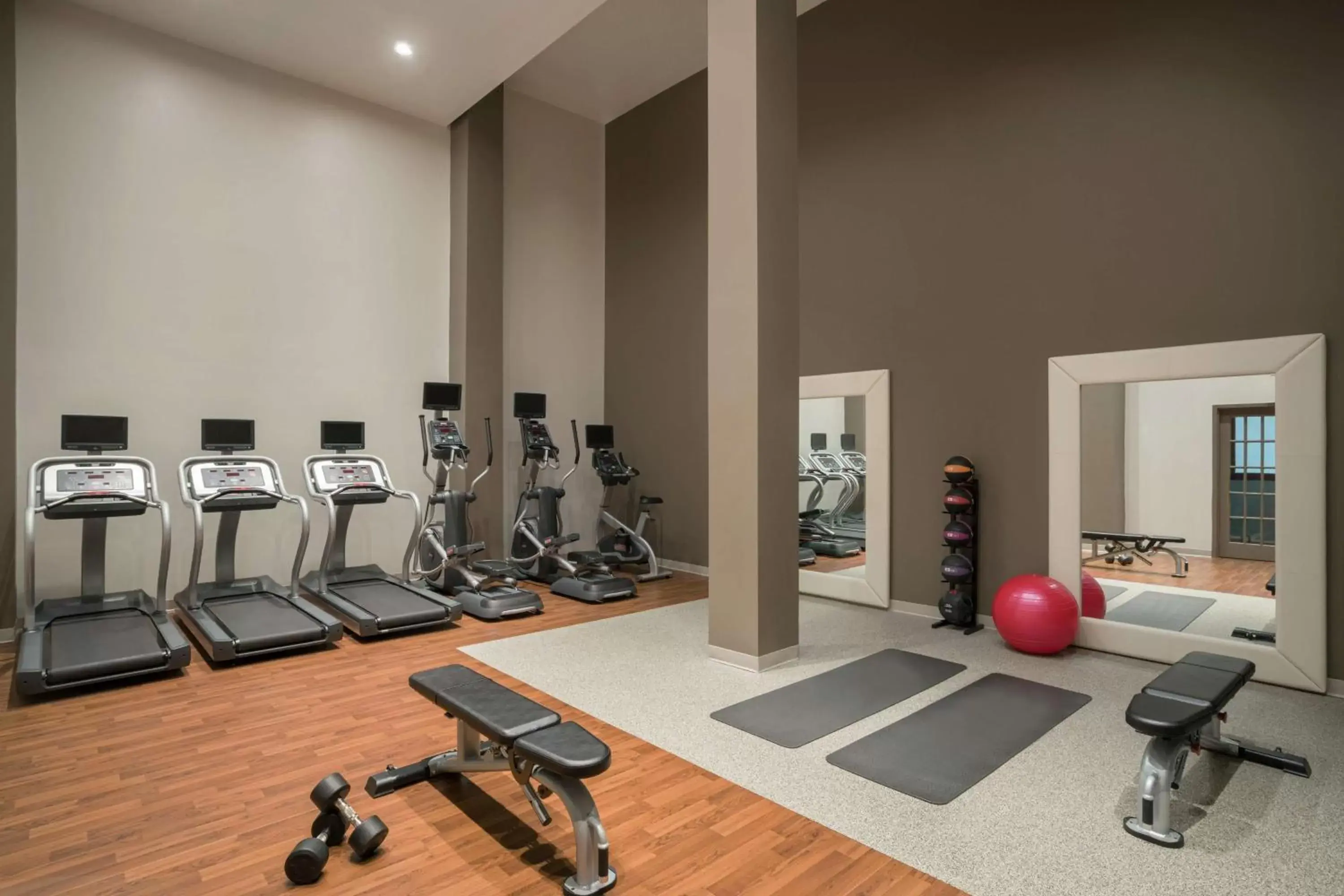 Fitness centre/facilities, Fitness Center/Facilities in Embassy Suites Brunswick