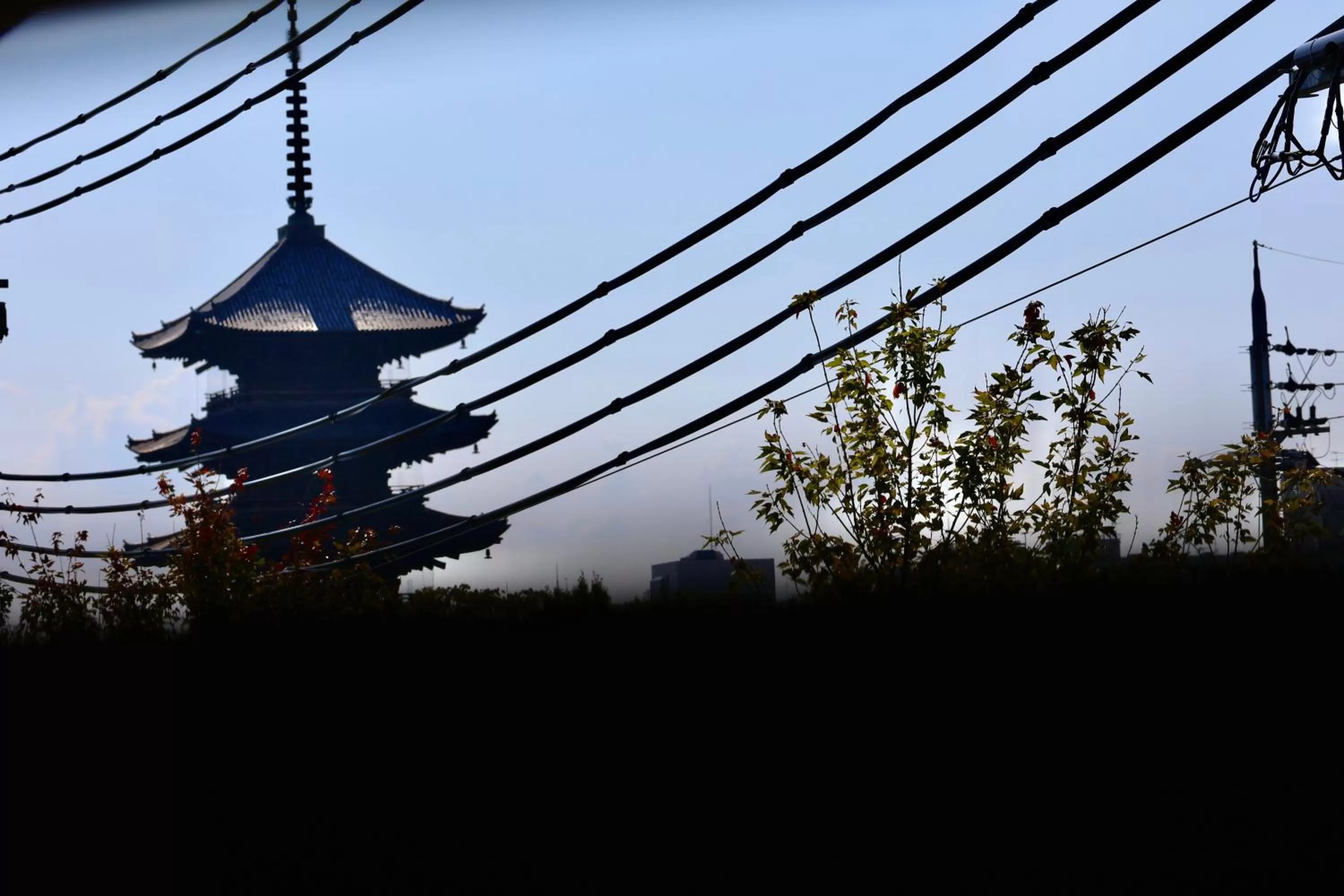 Day in THE ROOT2 HOTEL