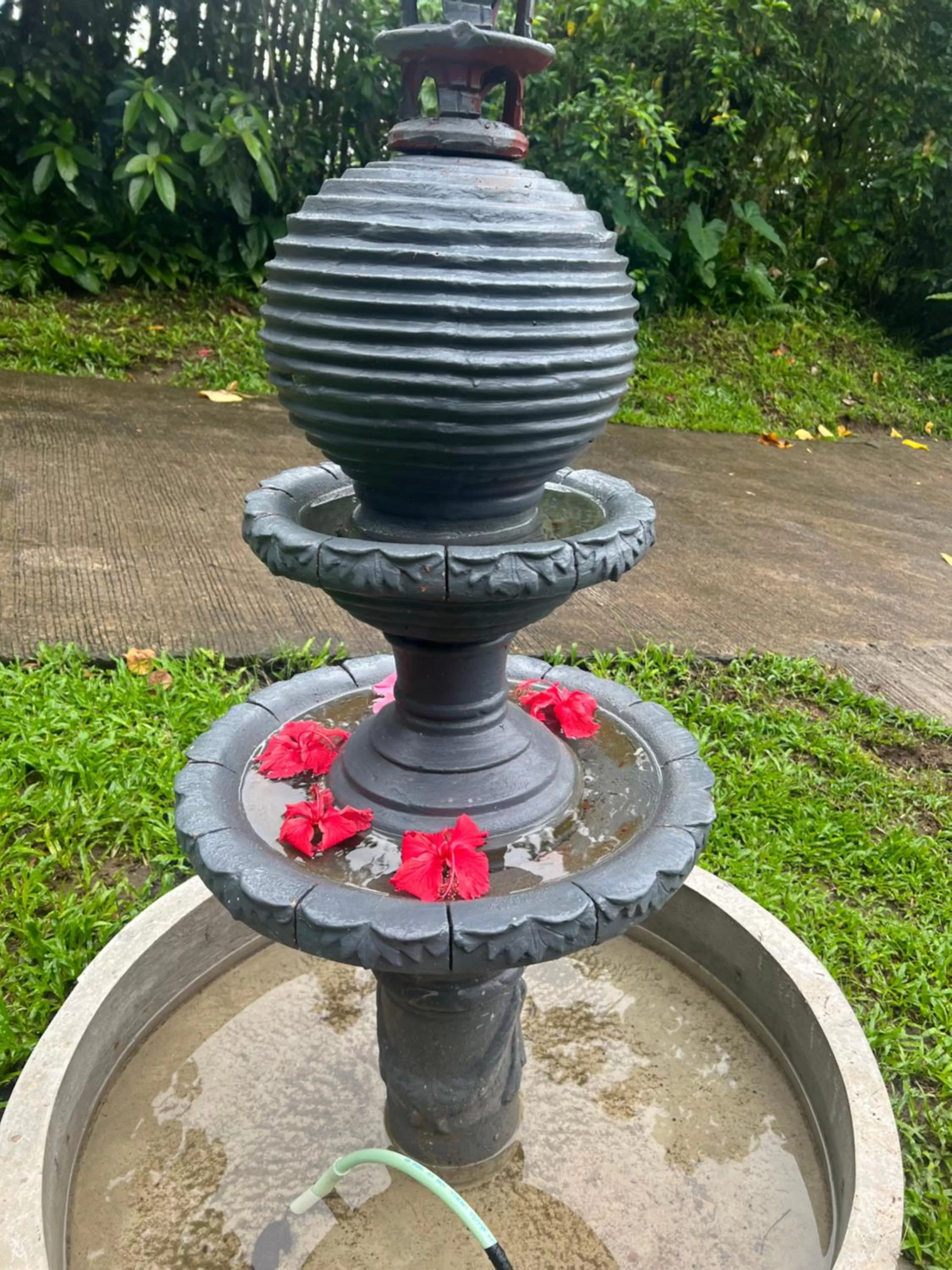 Garden in Bintana sa Paraiso Binunsaran