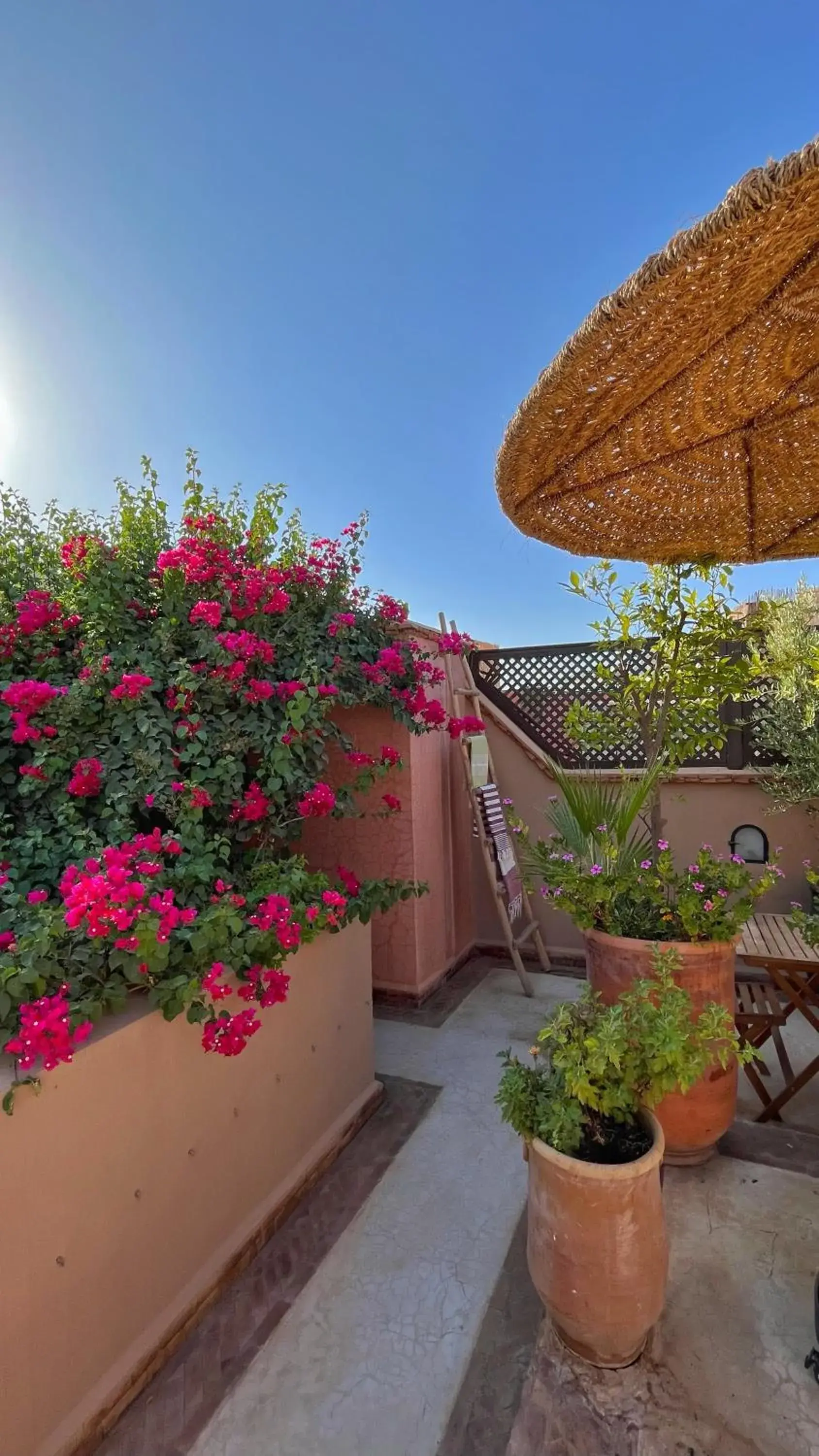 Balcony/Terrace in Riad Dar Zaman