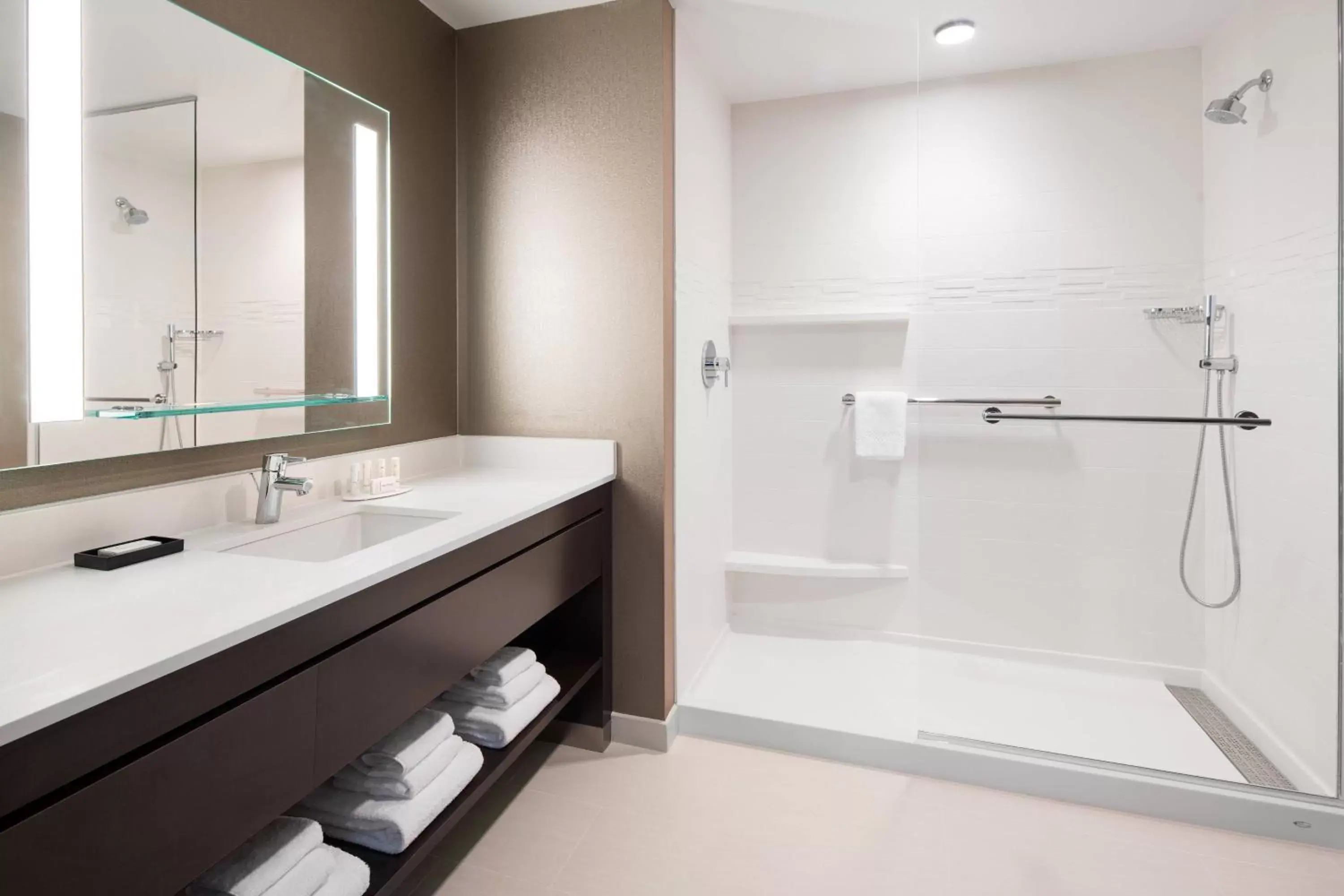 Bathroom in Residence Inn by Marriott Seattle Downtown Convention Center