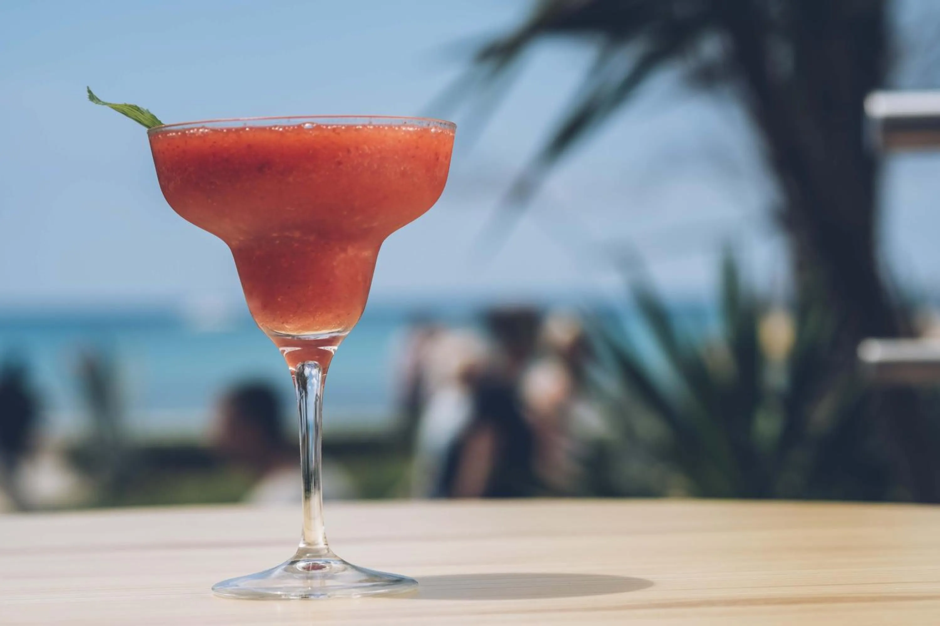 Drinks in AYA Seahotel - Adults Only