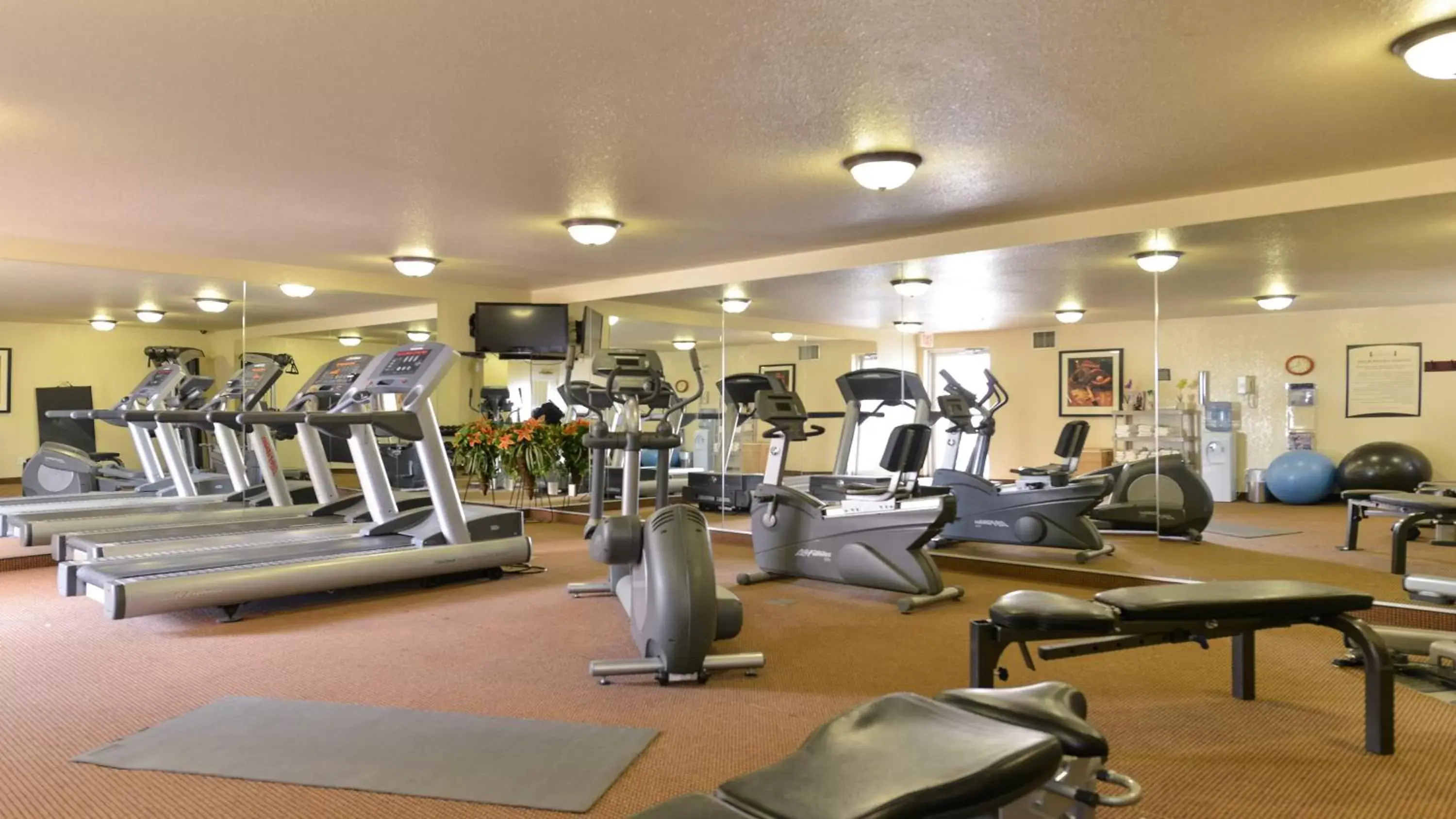 Fitness centre/facilities, Fitness Center/Facilities in Staybridge Suites - Calgary Airport, an IHG Hotel