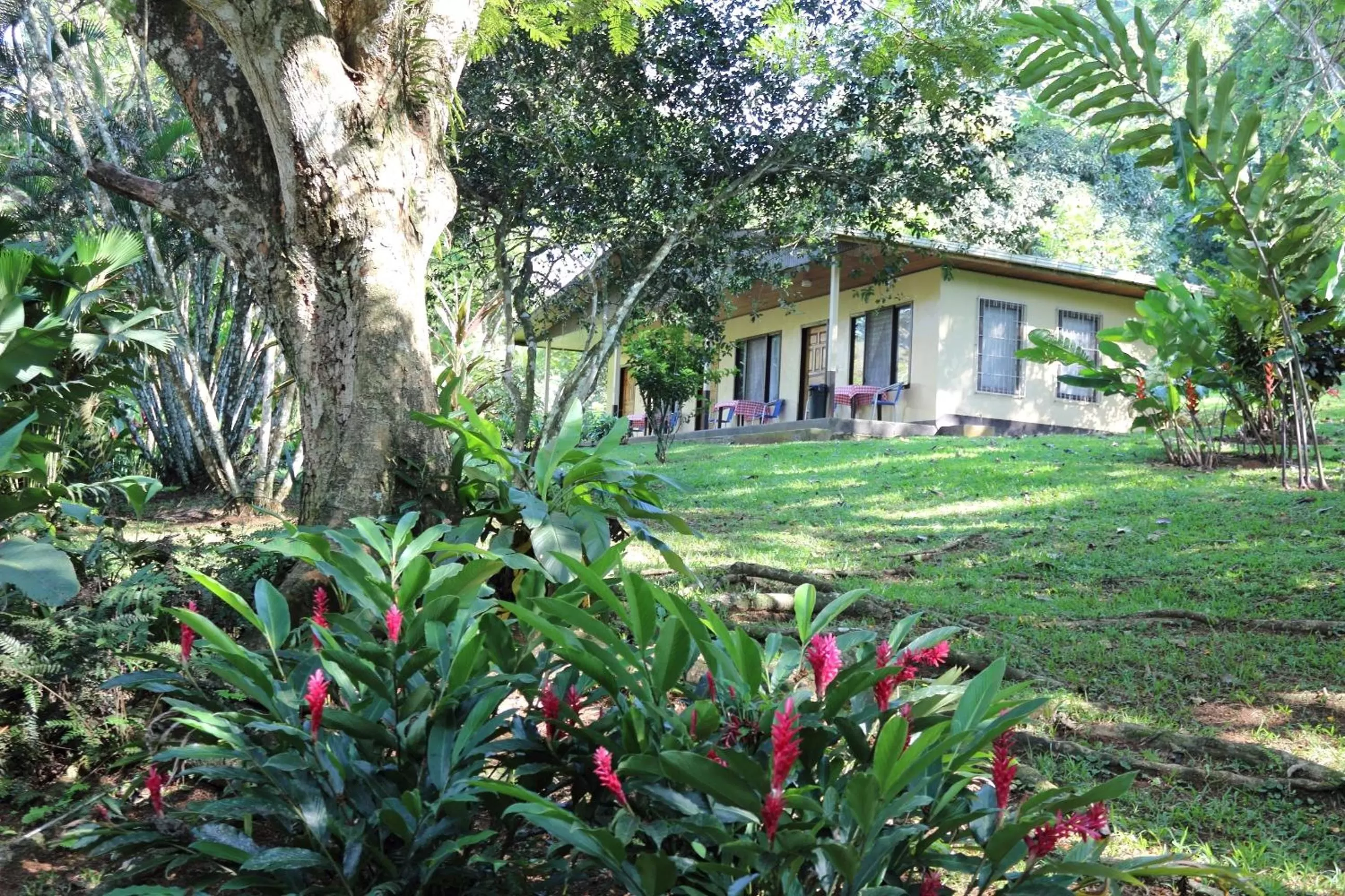 Property Building in La Purruja Lodge