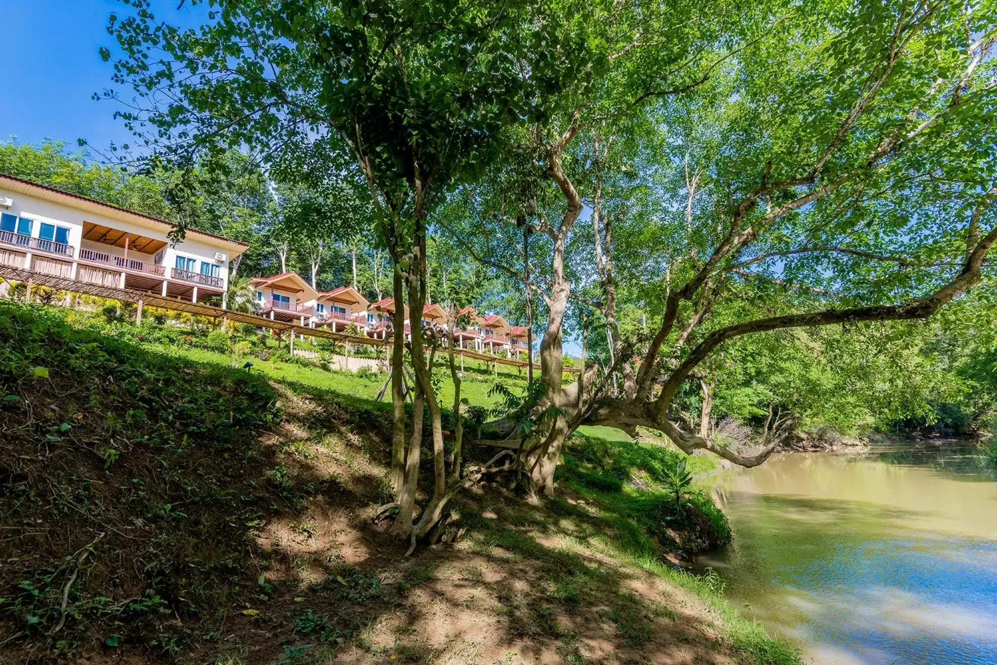 Natural landscape, Garden in Khao Sok River Home Resort