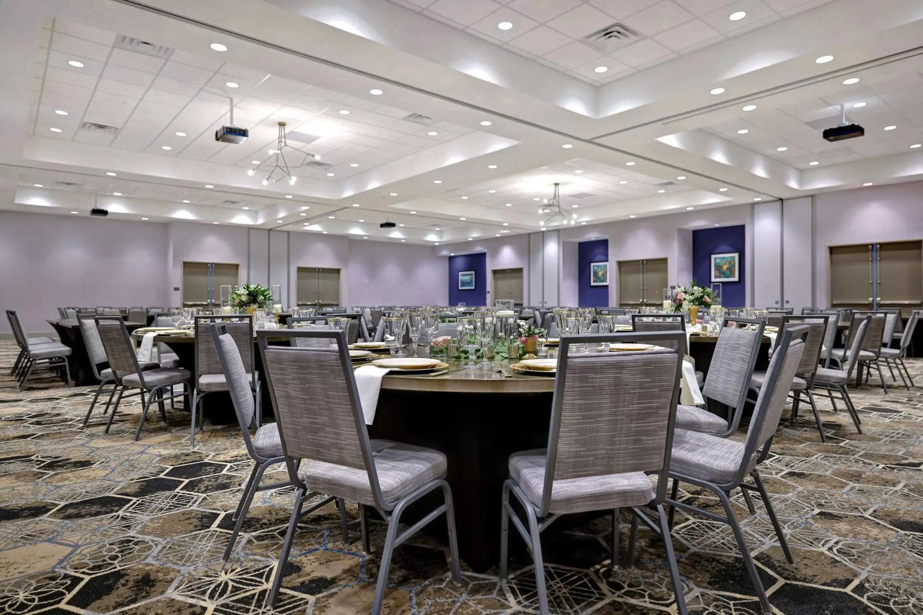 Meeting/conference room, Restaurant/Places to Eat in Hilton Garden Inn Cedar Rapids