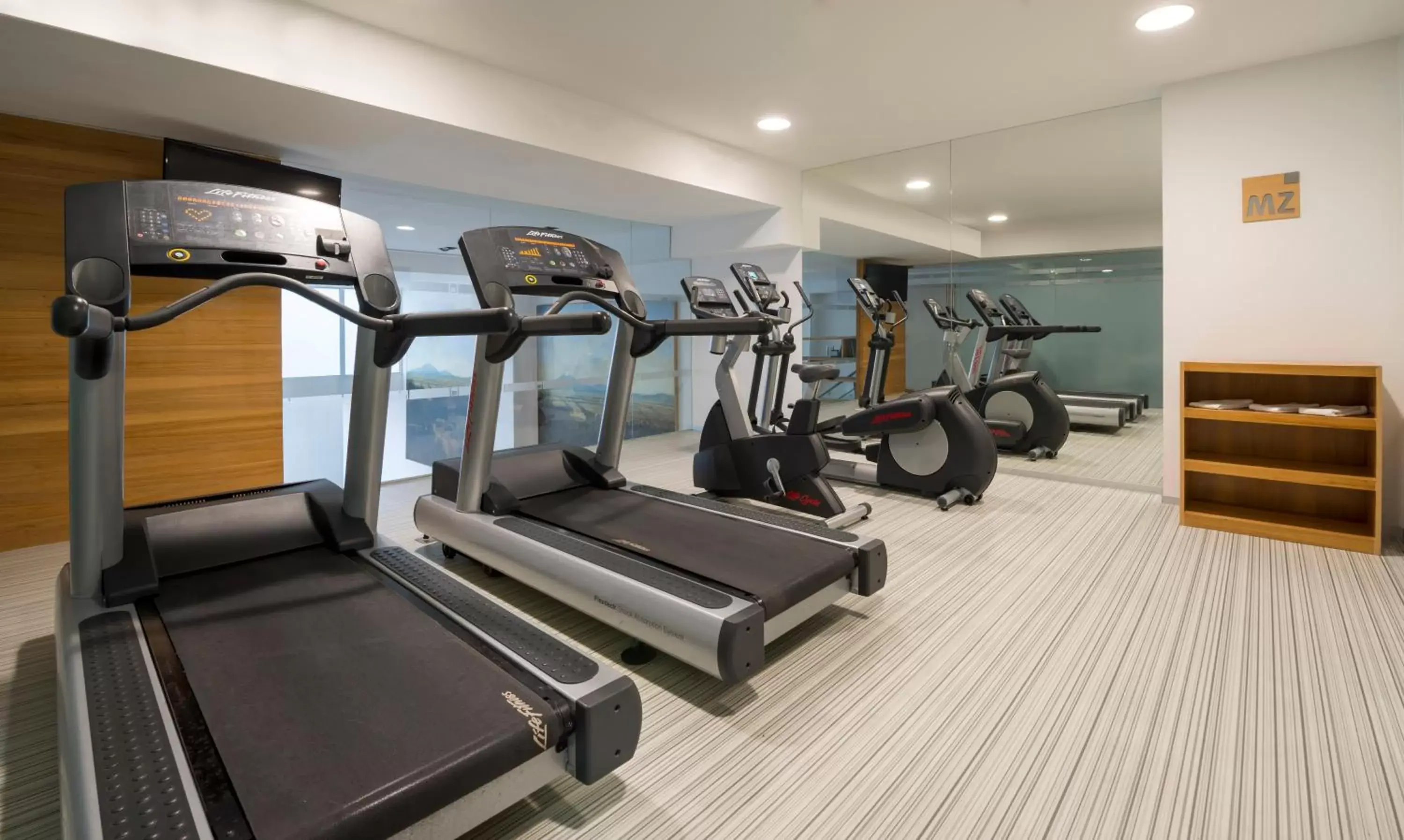 Fitness centre/facilities, Fitness Center/Facilities in Camino Real Puebla Angelopolis