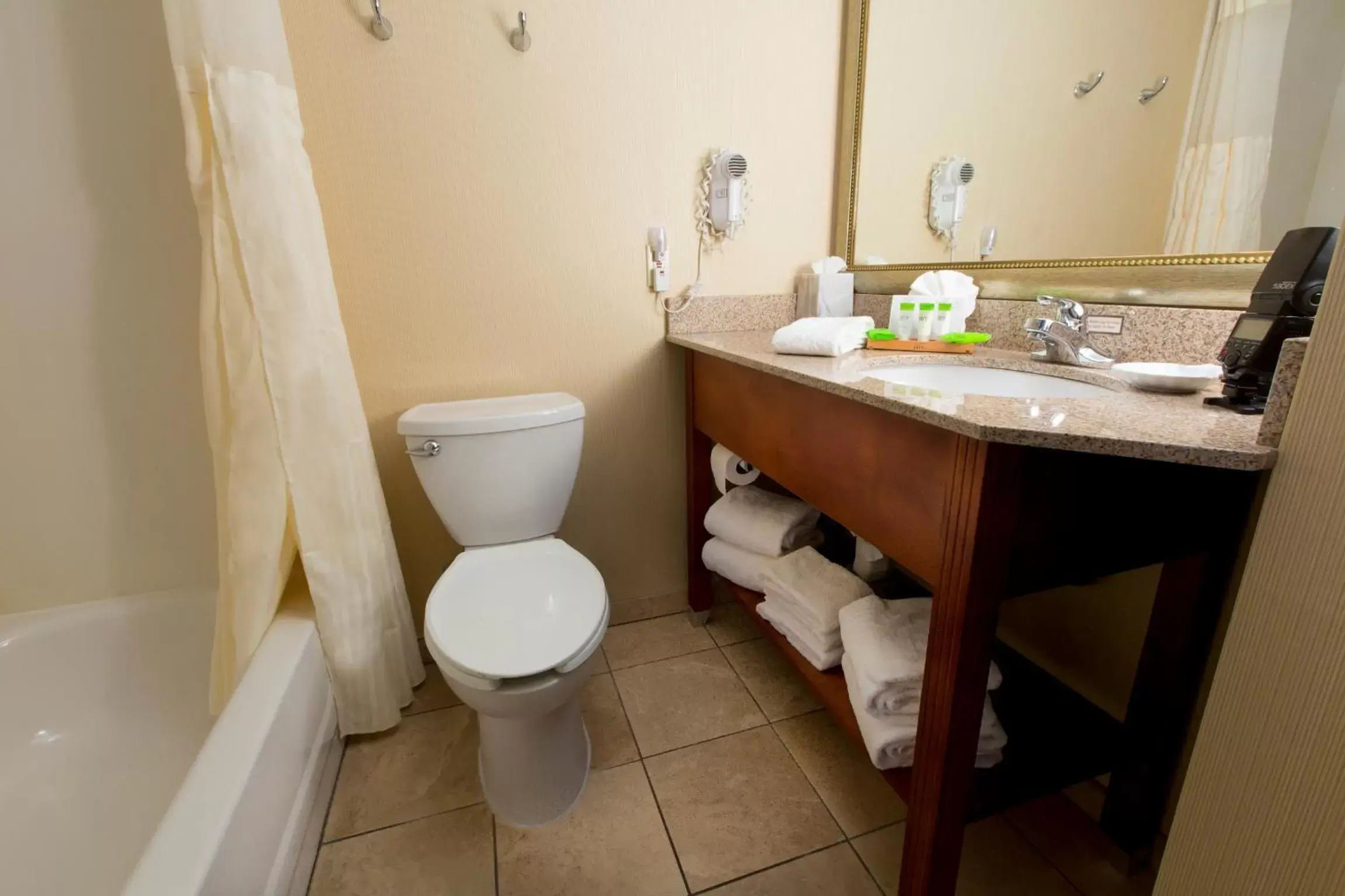 Bathroom in SureStay Plus Hotel by Best Western Tempe University