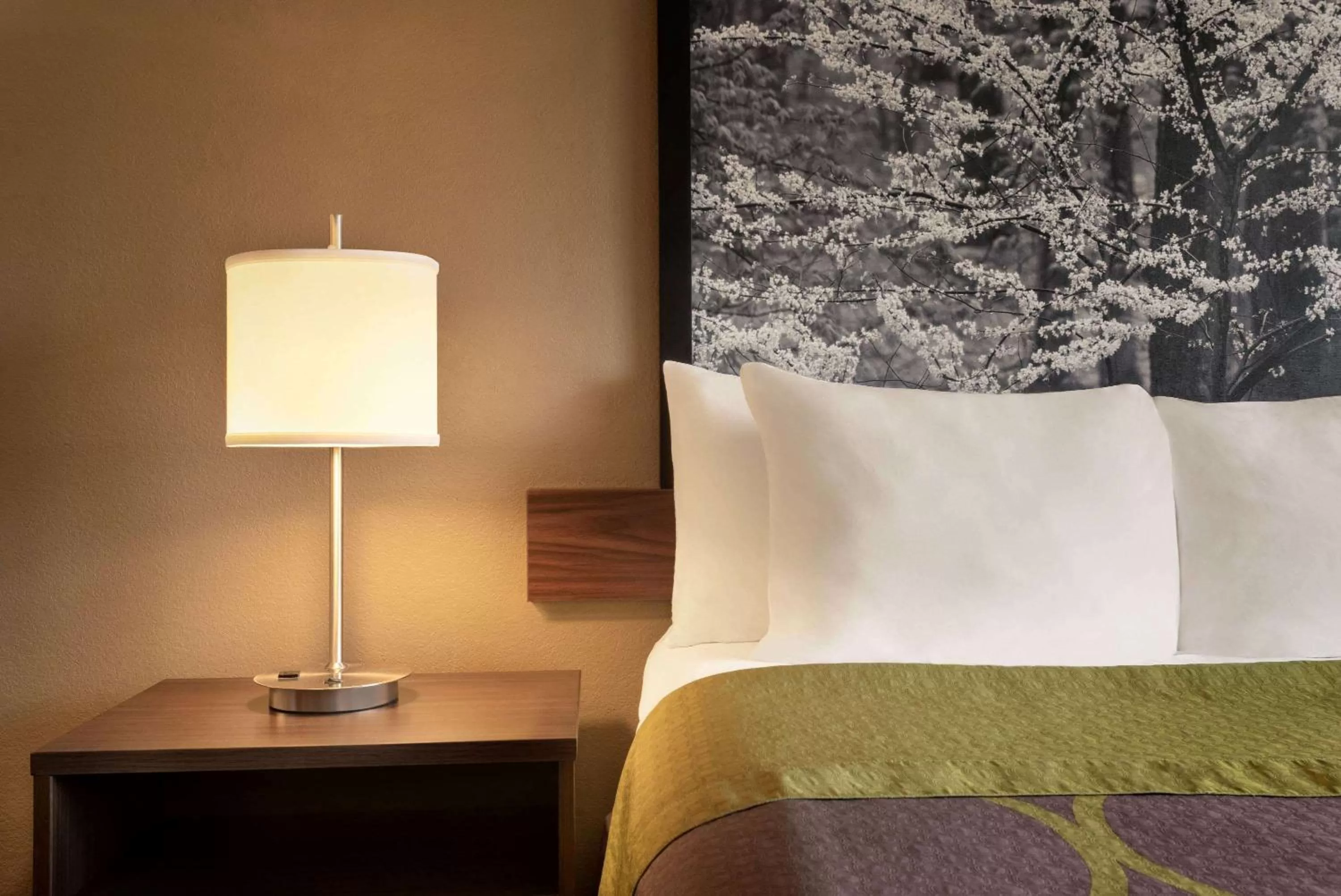 Photo of the whole room, Bed in Super 8 by Wyndham Akron S/Green/Uniontown OH