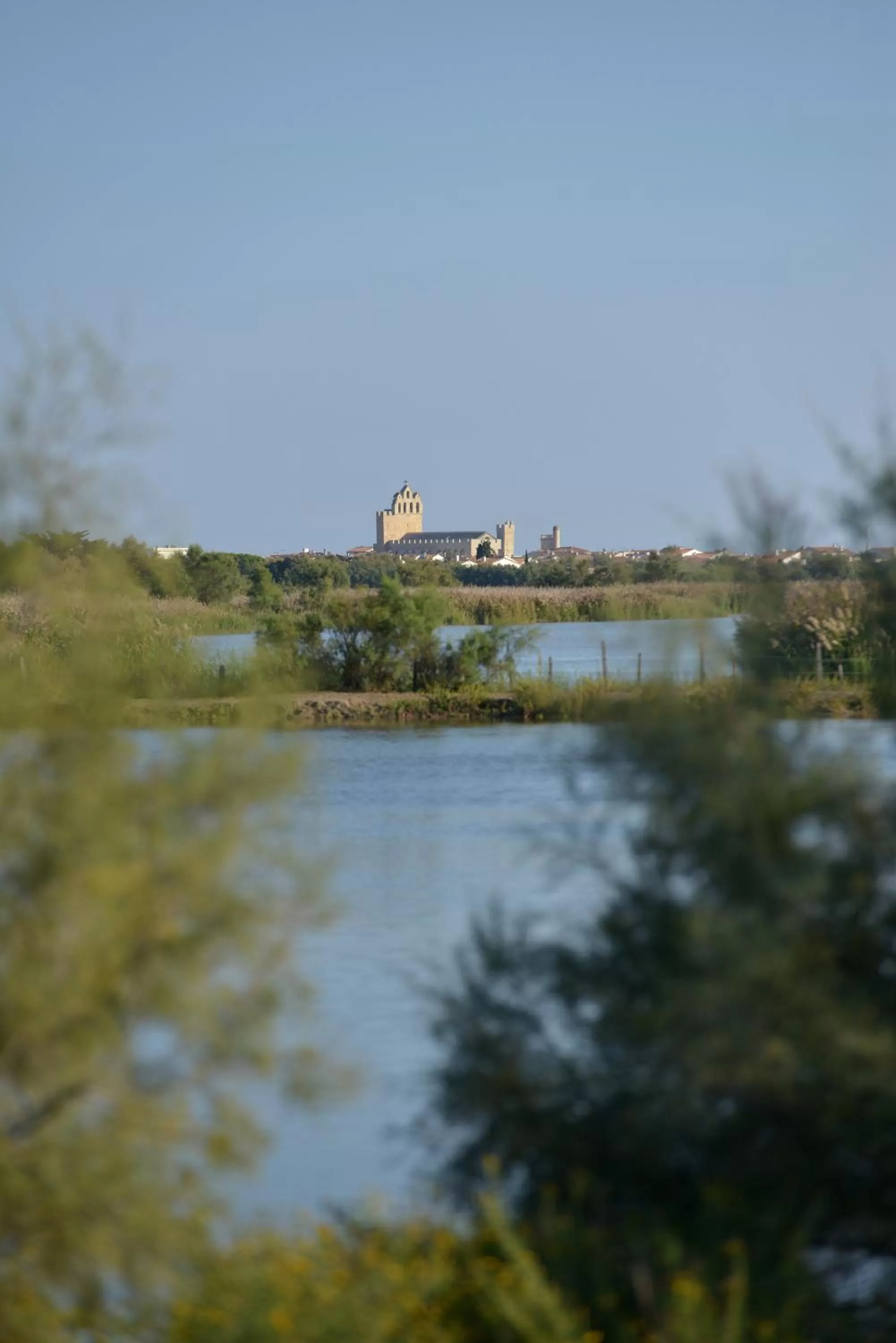 Mas de la Grenouillère Hôtel et Centre équestre en pleine nature