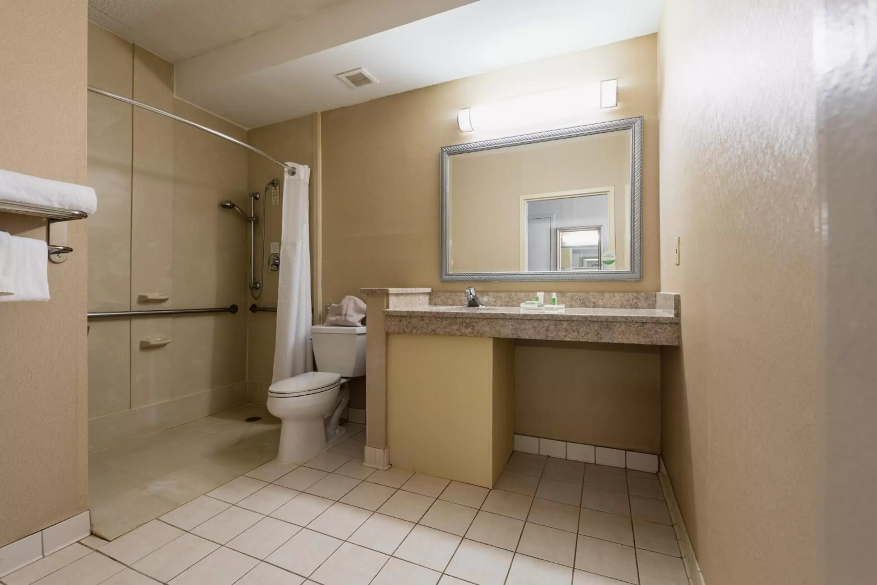 Queen Room - Disability Access in Holiday Inn South Plainfield-Piscataway, an IHG Hotel