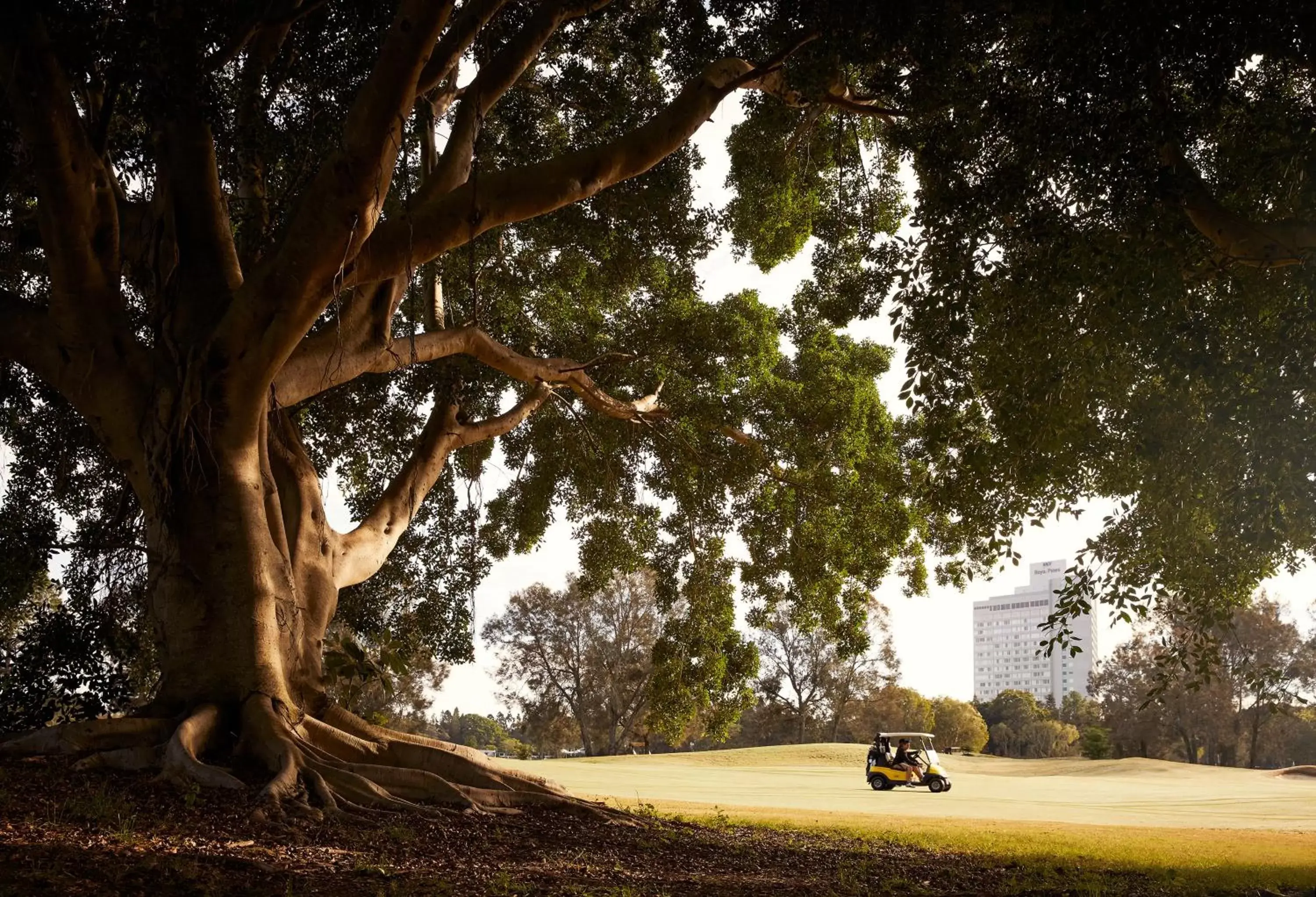 Golfcourse in RACV Royal Pines Resort Gold Coast